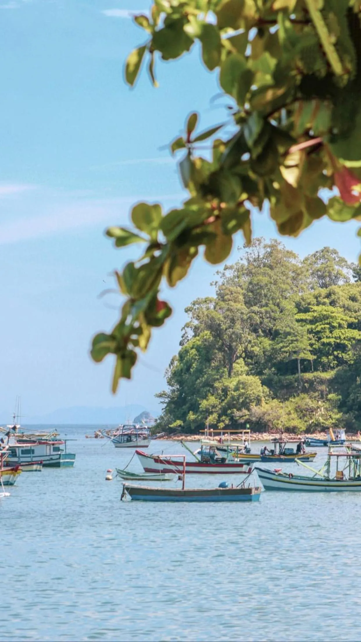 Beach in Pousada Ponta da Vigia