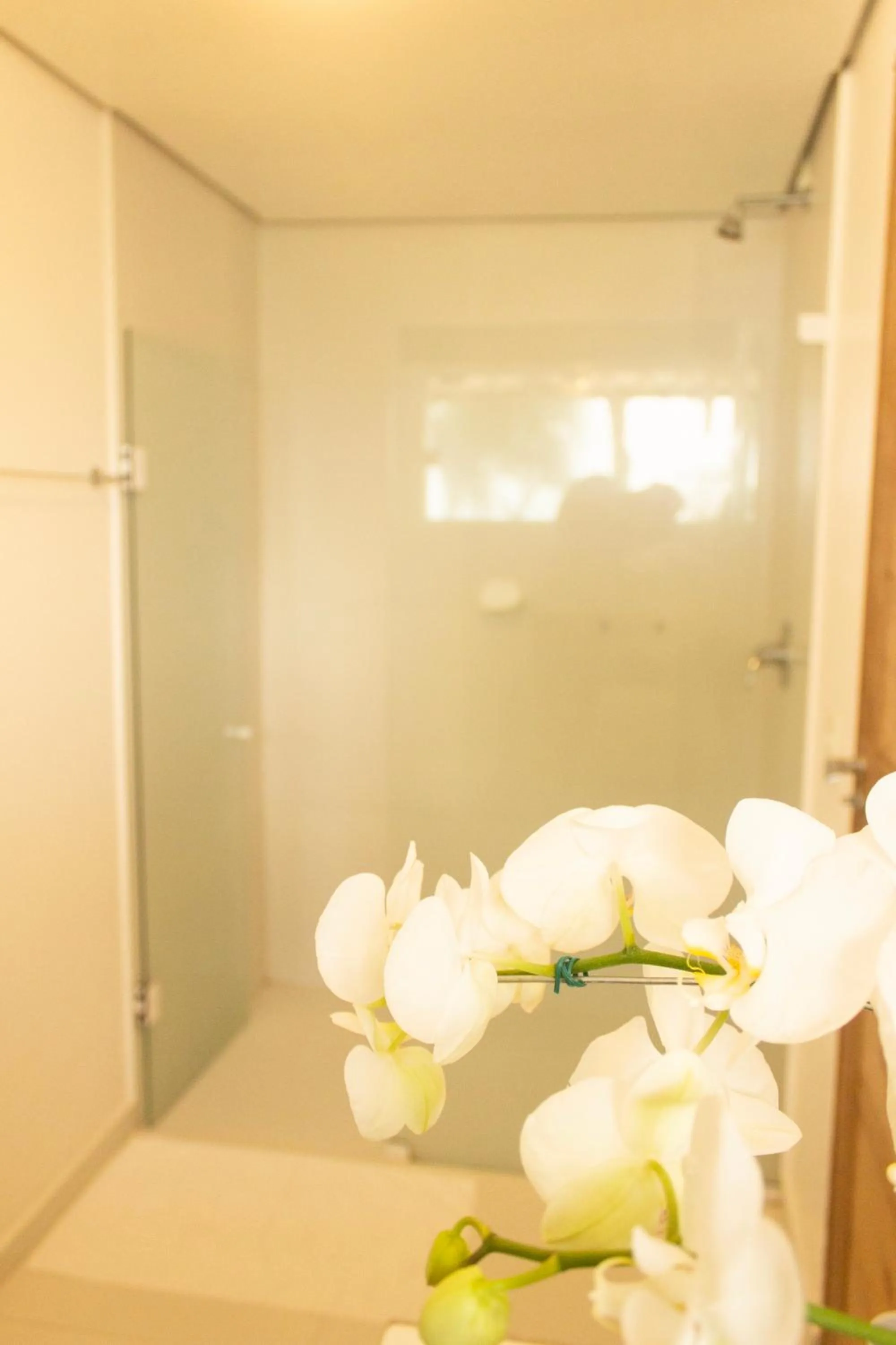 Bathroom in Pousada Ponta da Vigia