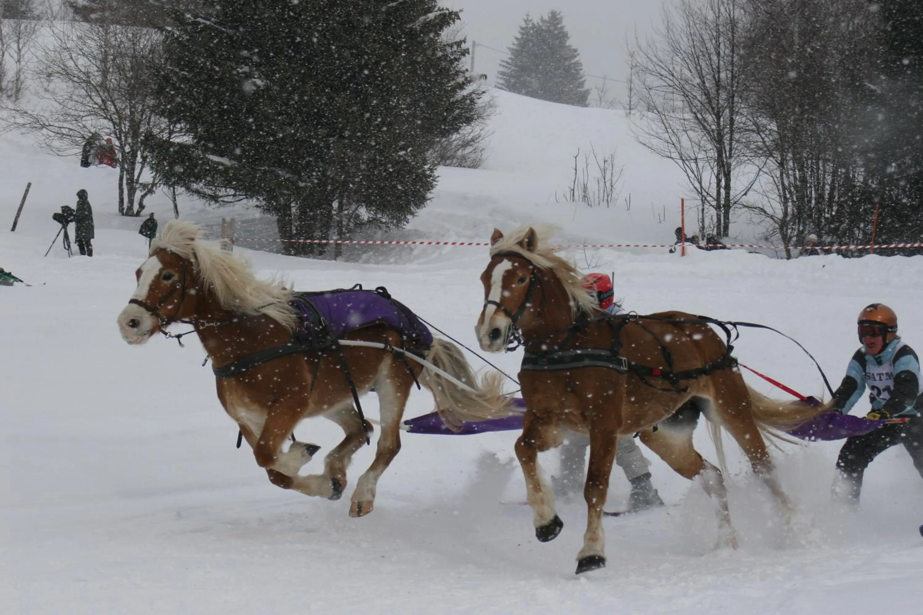 Horse-riding in Madame Vacances Les Chalets Du Berger