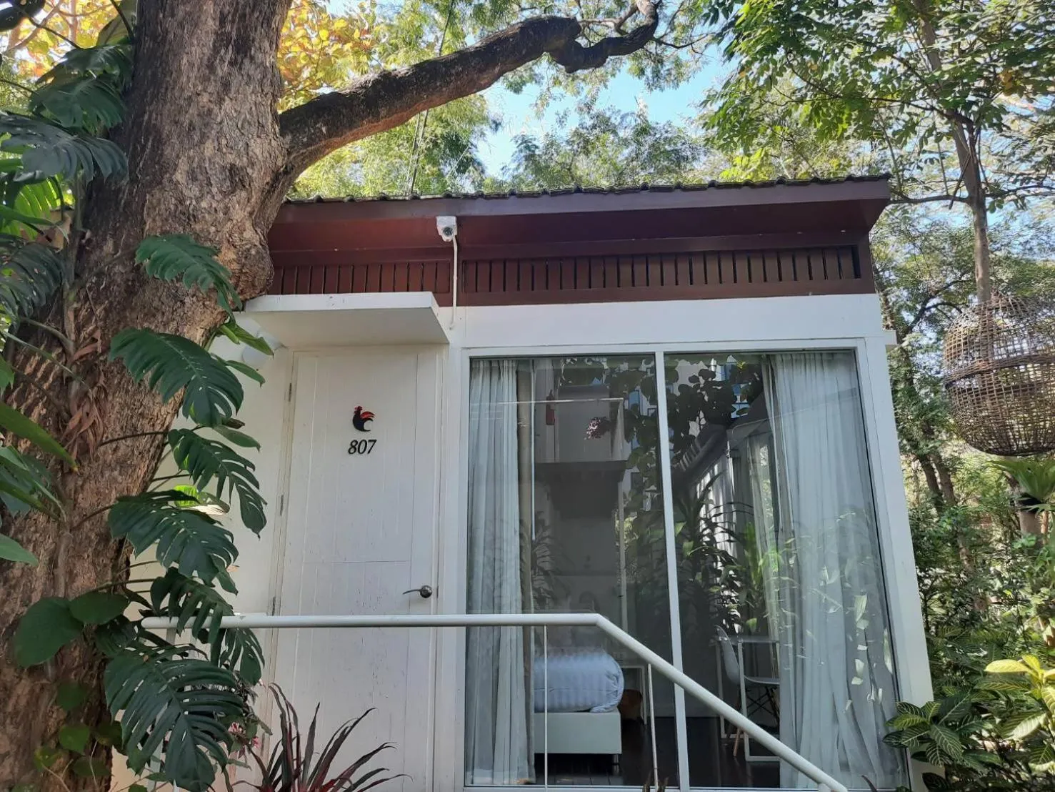 Property building in Cochet