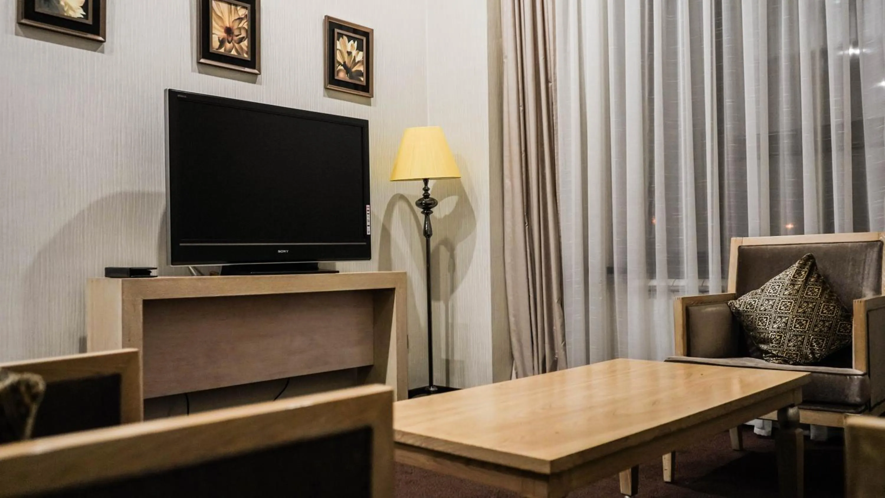 TV and multimedia in JELSOMINOHotel