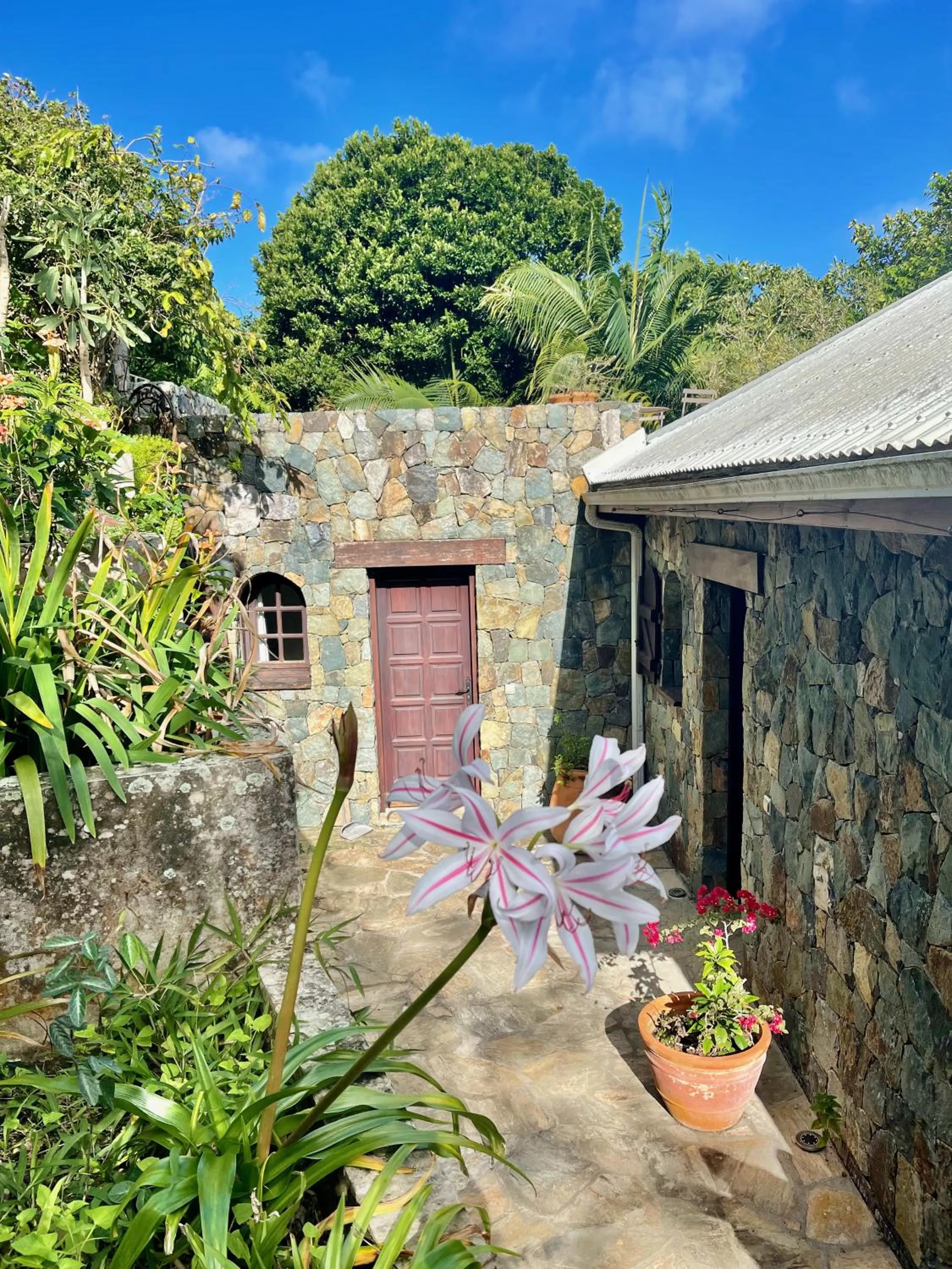 Garden in The Paradise Peak Adults only