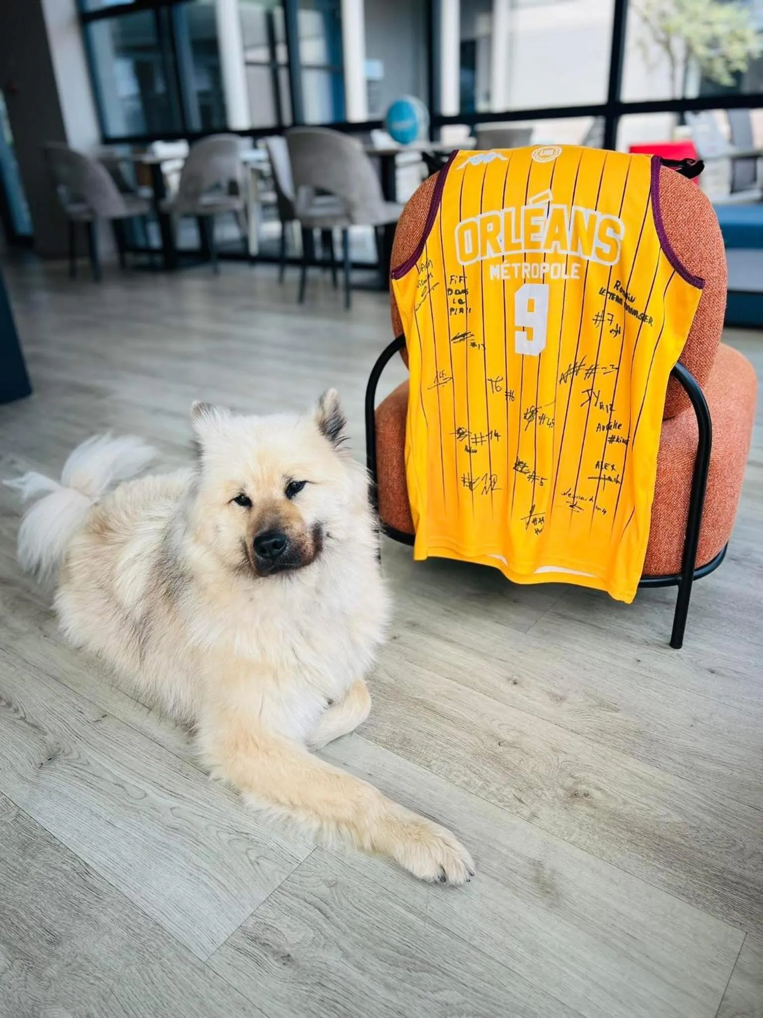 The Originals City, Hôtel Hélios, Roanne Nord