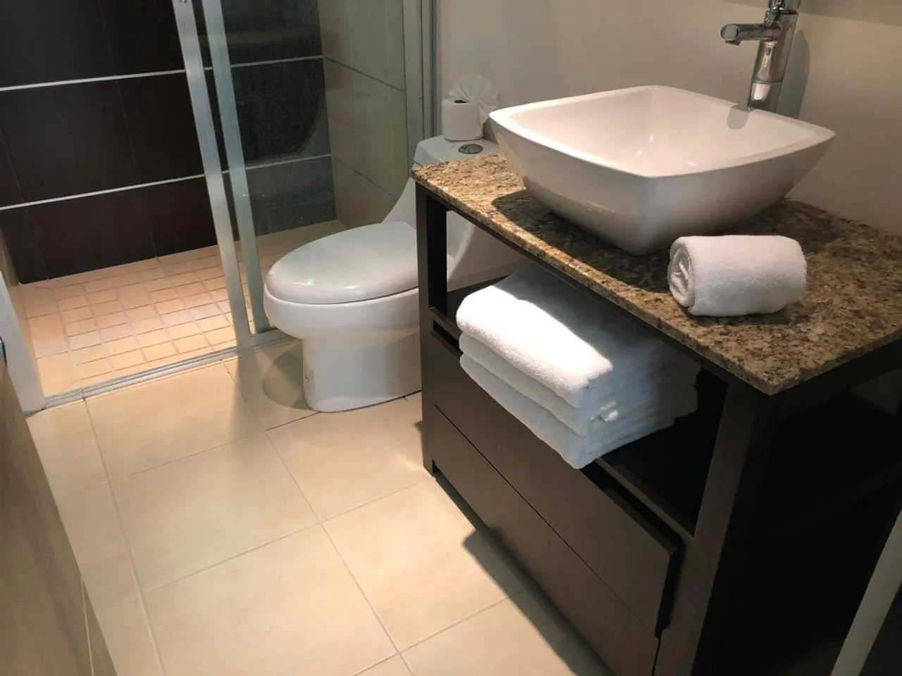 Toilet in San Pedro Hotel, 5ta Avenida