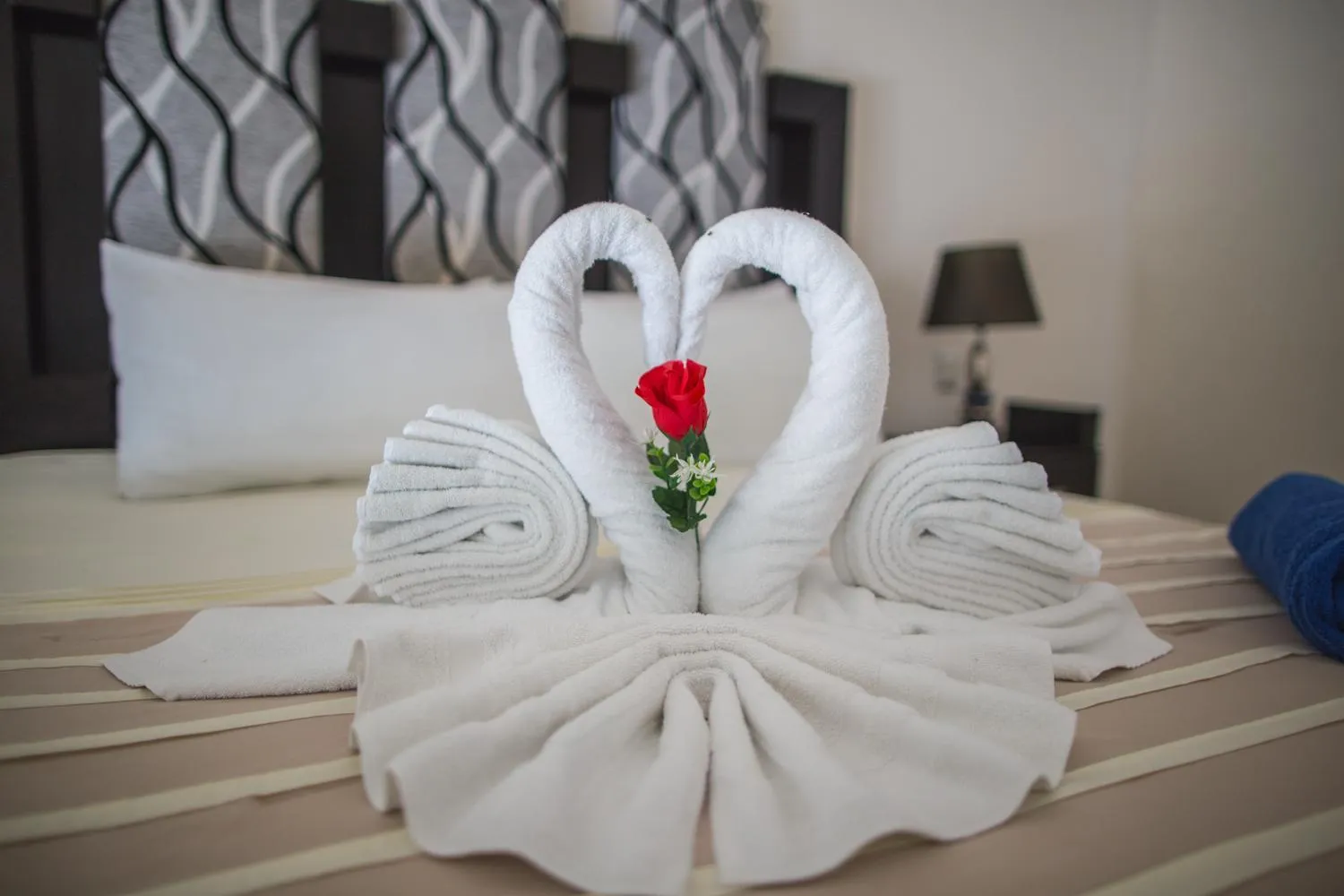 Bed in San Pedro Hotel, 5ta Avenida