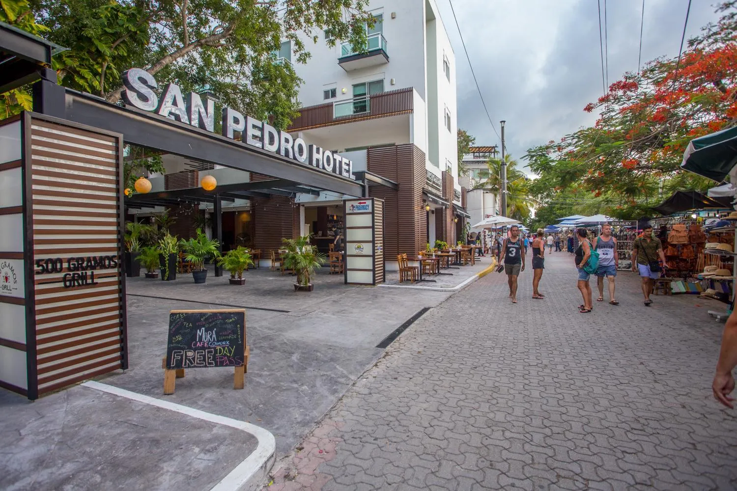 Property building in San Pedro Hotel, 5ta Avenida