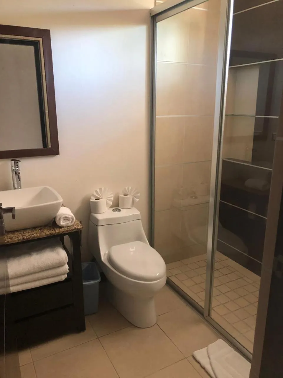 Shower in San Pedro Hotel, 5ta Avenida