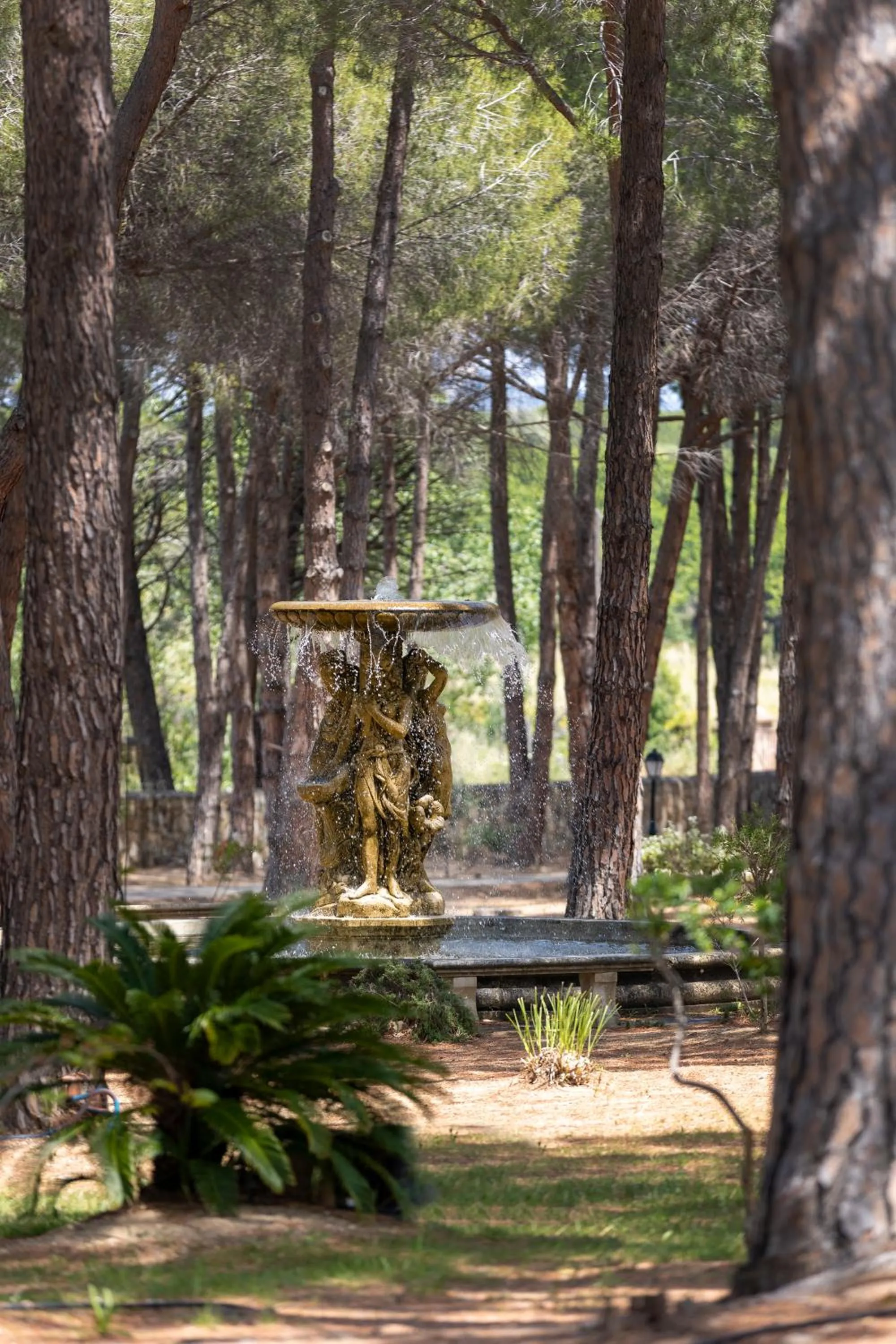 Garden in La Signoria & Spa