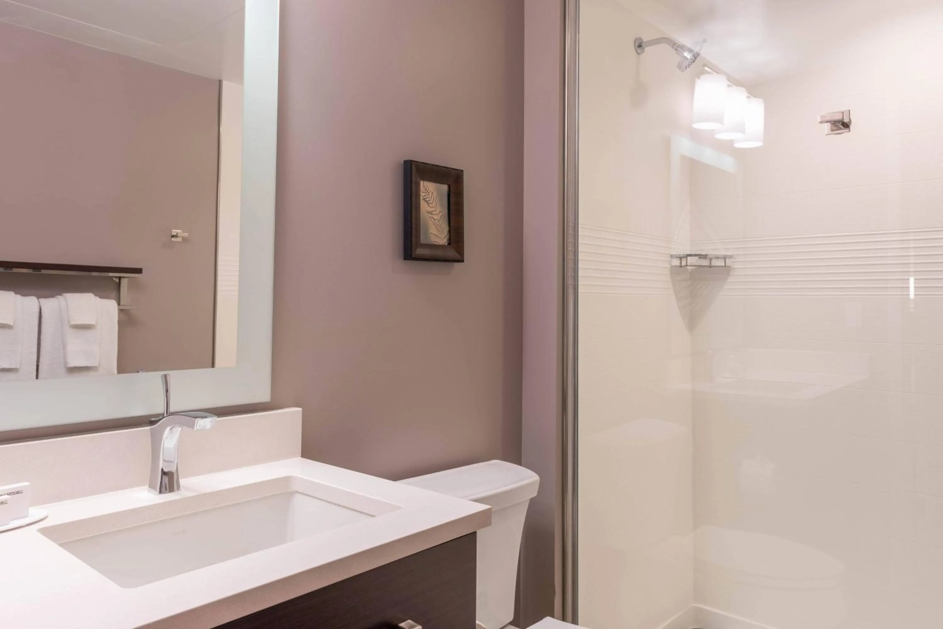 Bathroom in TownePlace Suites by Marriott Thousand Oaks Agoura Hills