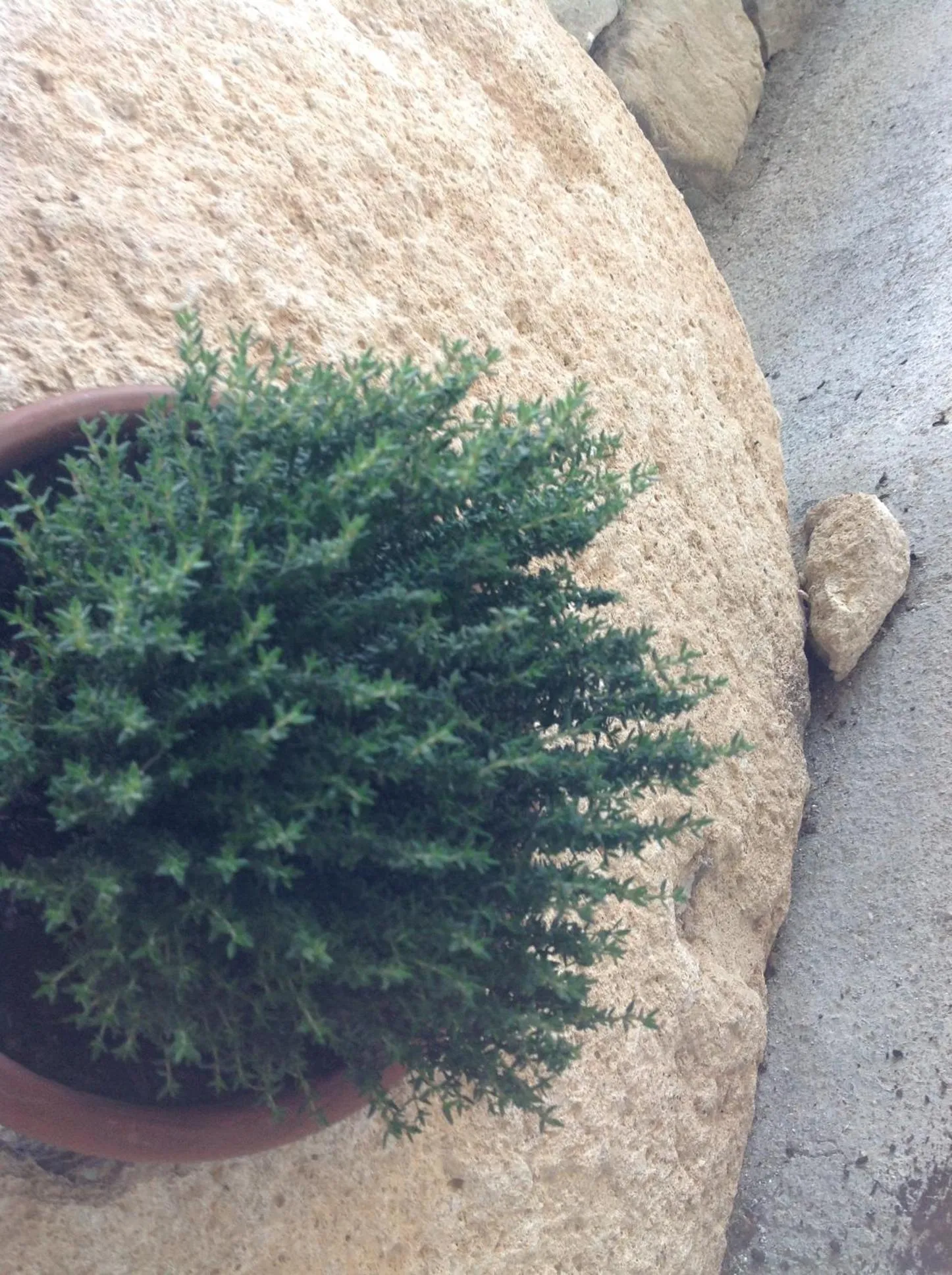 Decorative detail in B&B Lacrêma