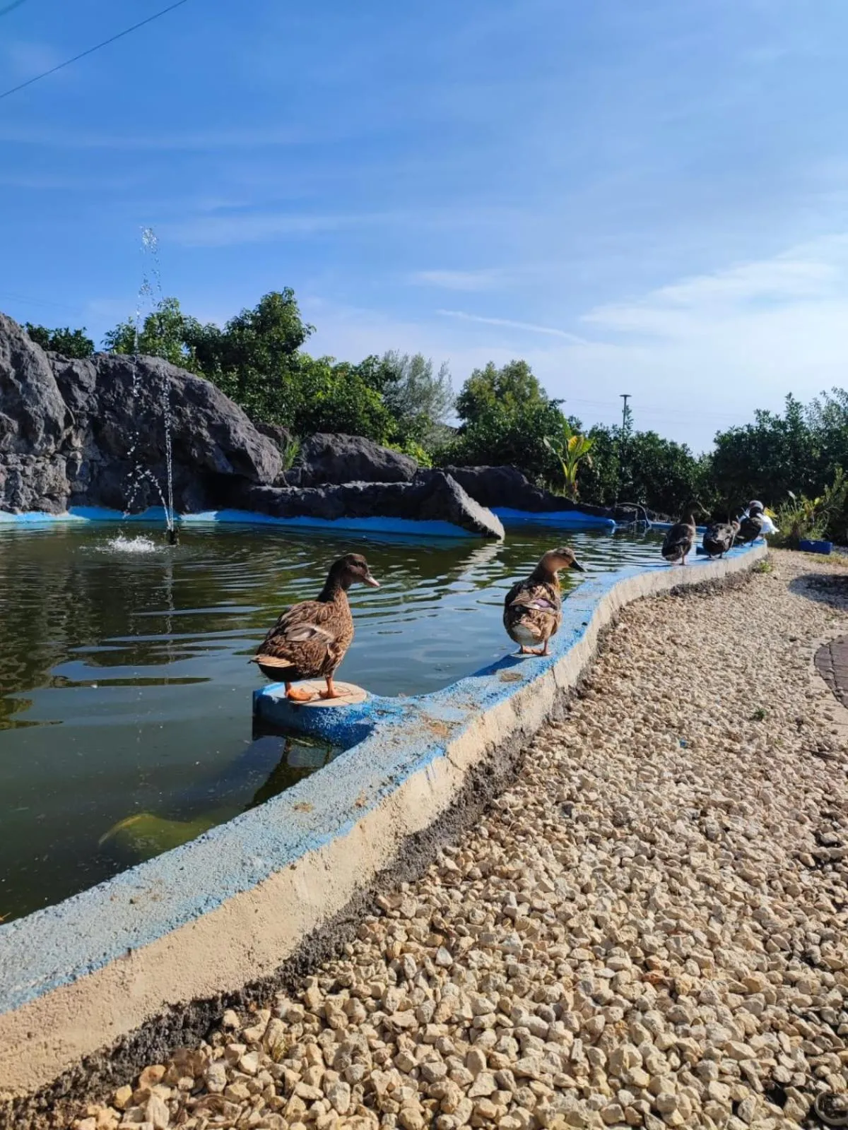 Garden in Don Vittorio Country Village