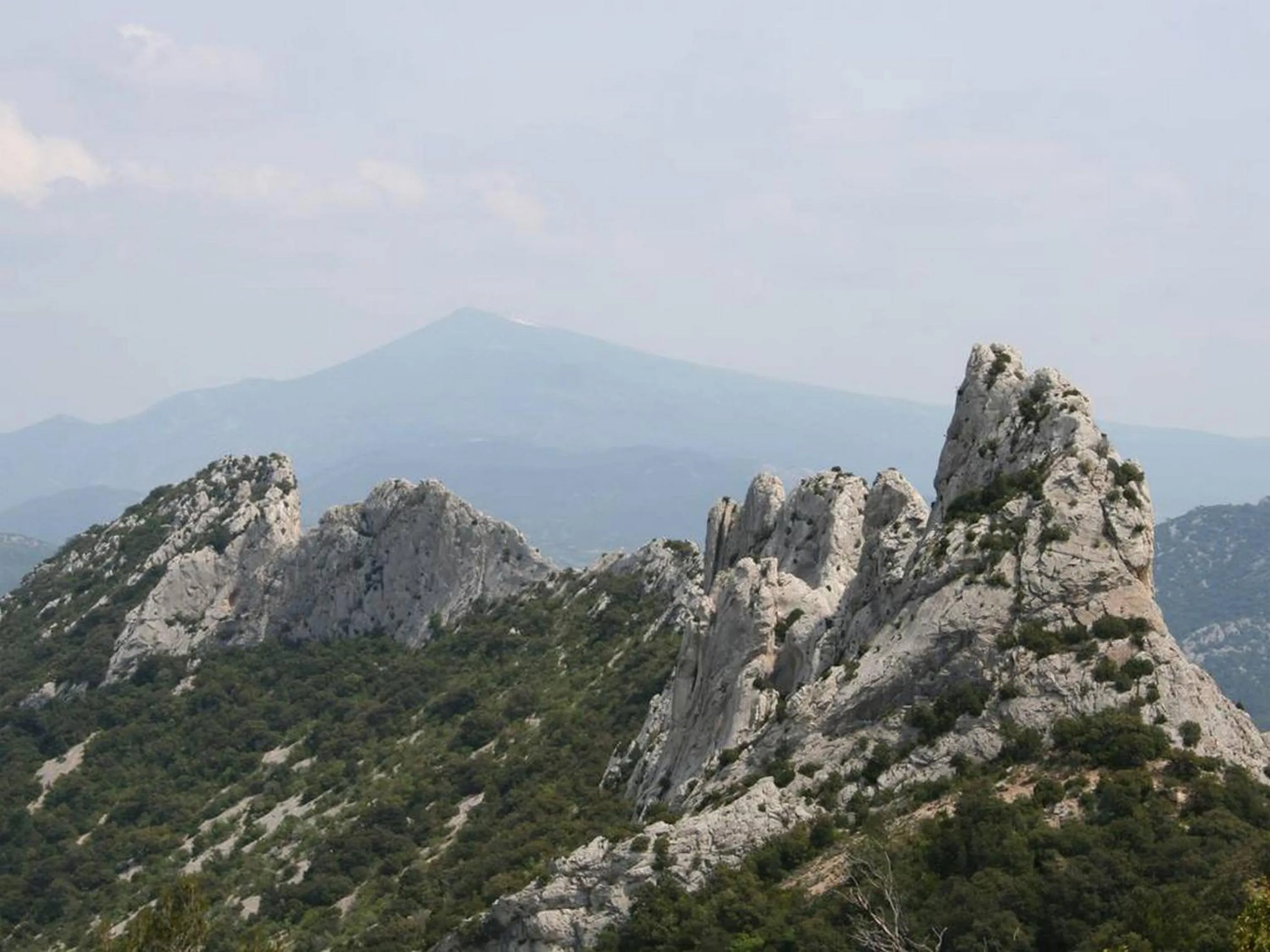 Natural landscape in Hôtel Le Pradet