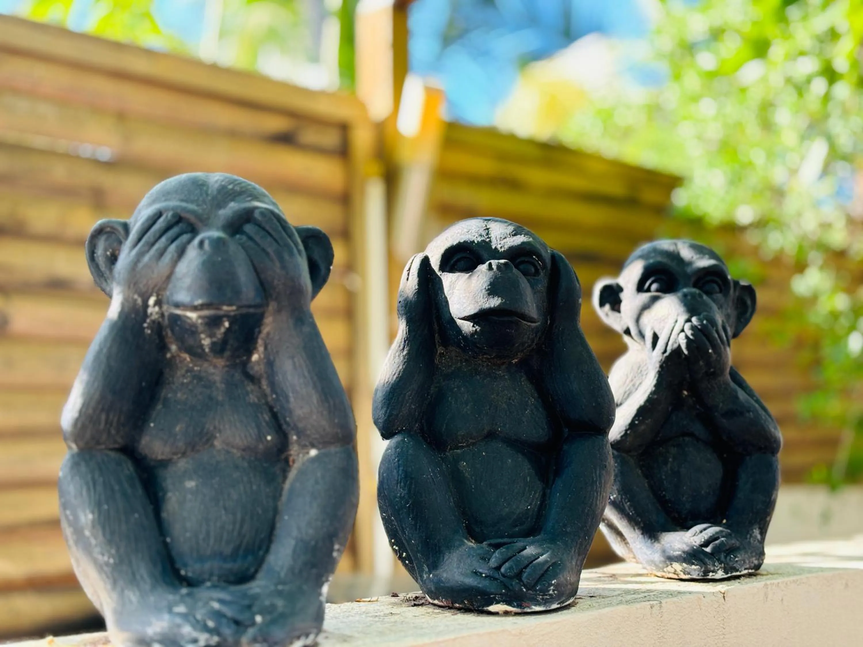 Garden in Hôtel Coco Island