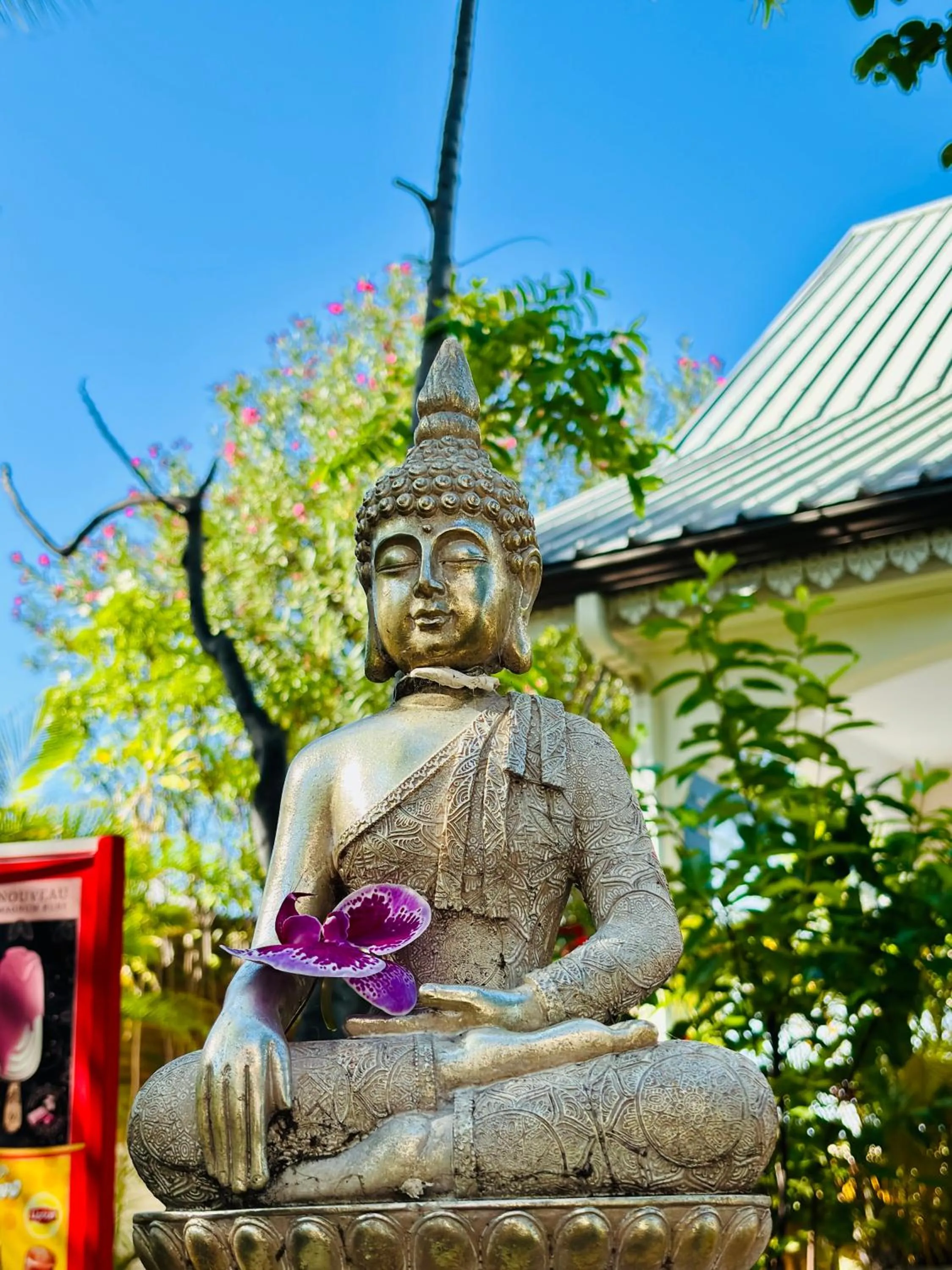 Garden in Hôtel Coco Island