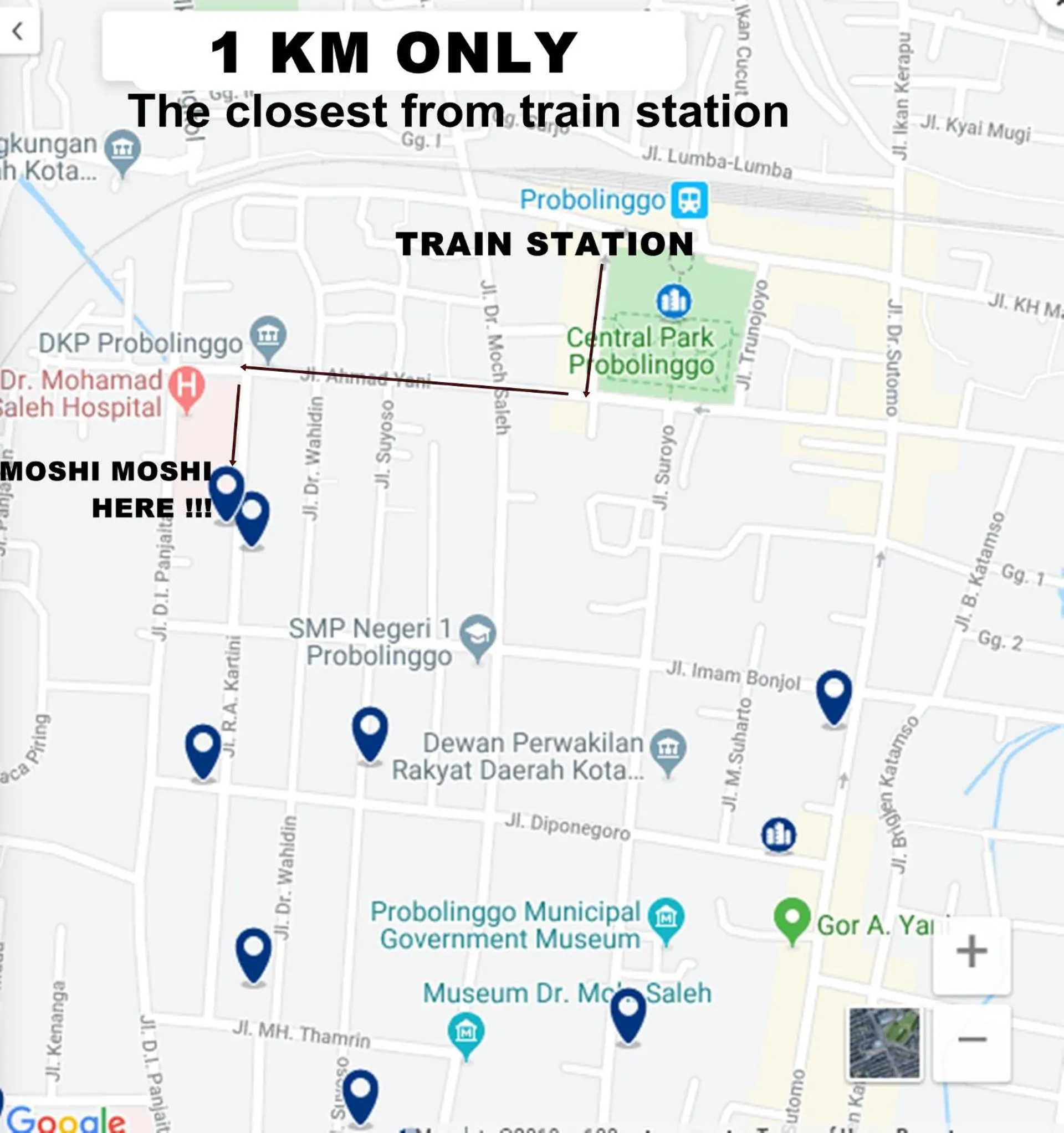 Bird's eye view in Moshi Moshi