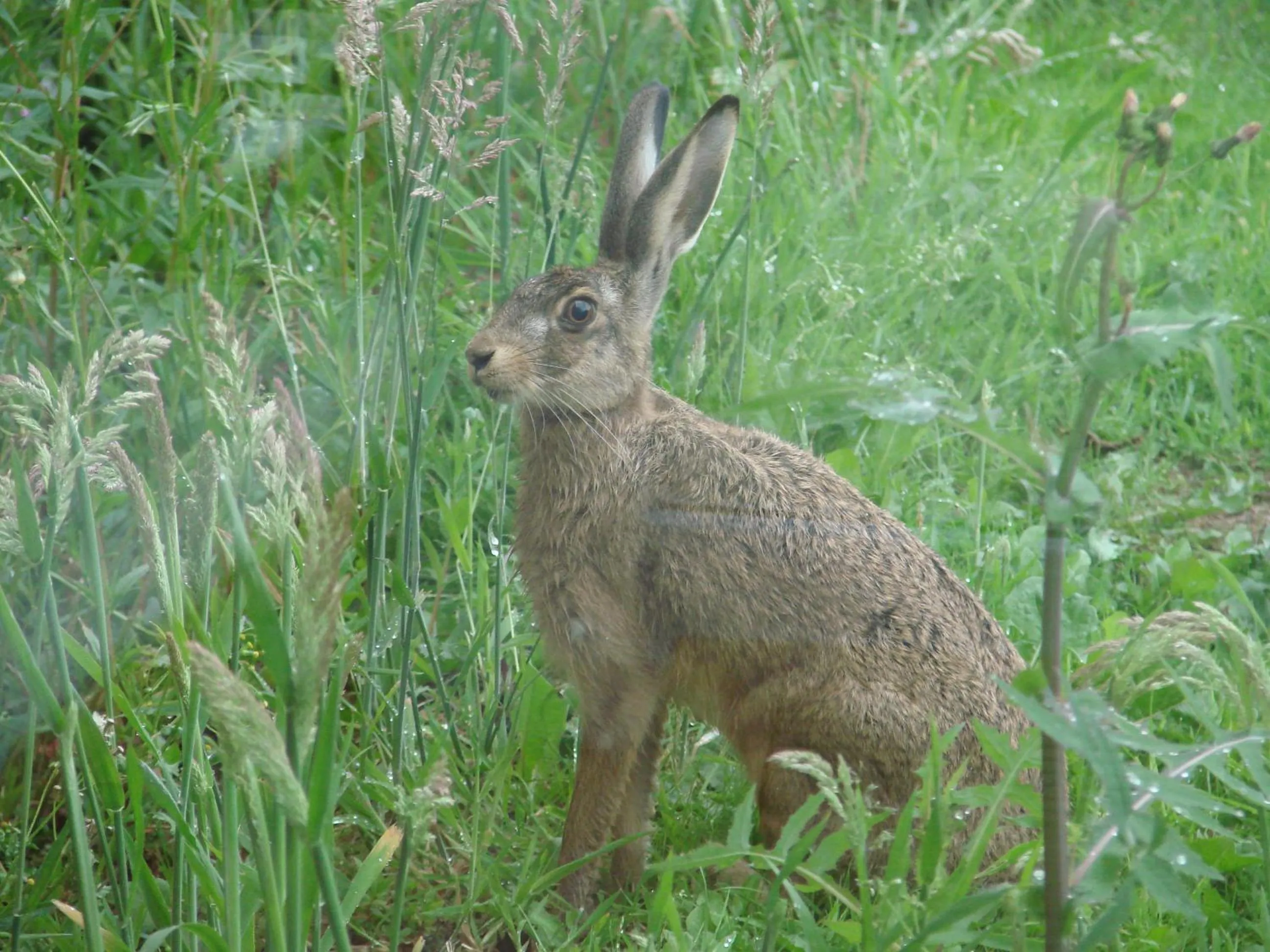 View (from property/room) in La Blanche Roche