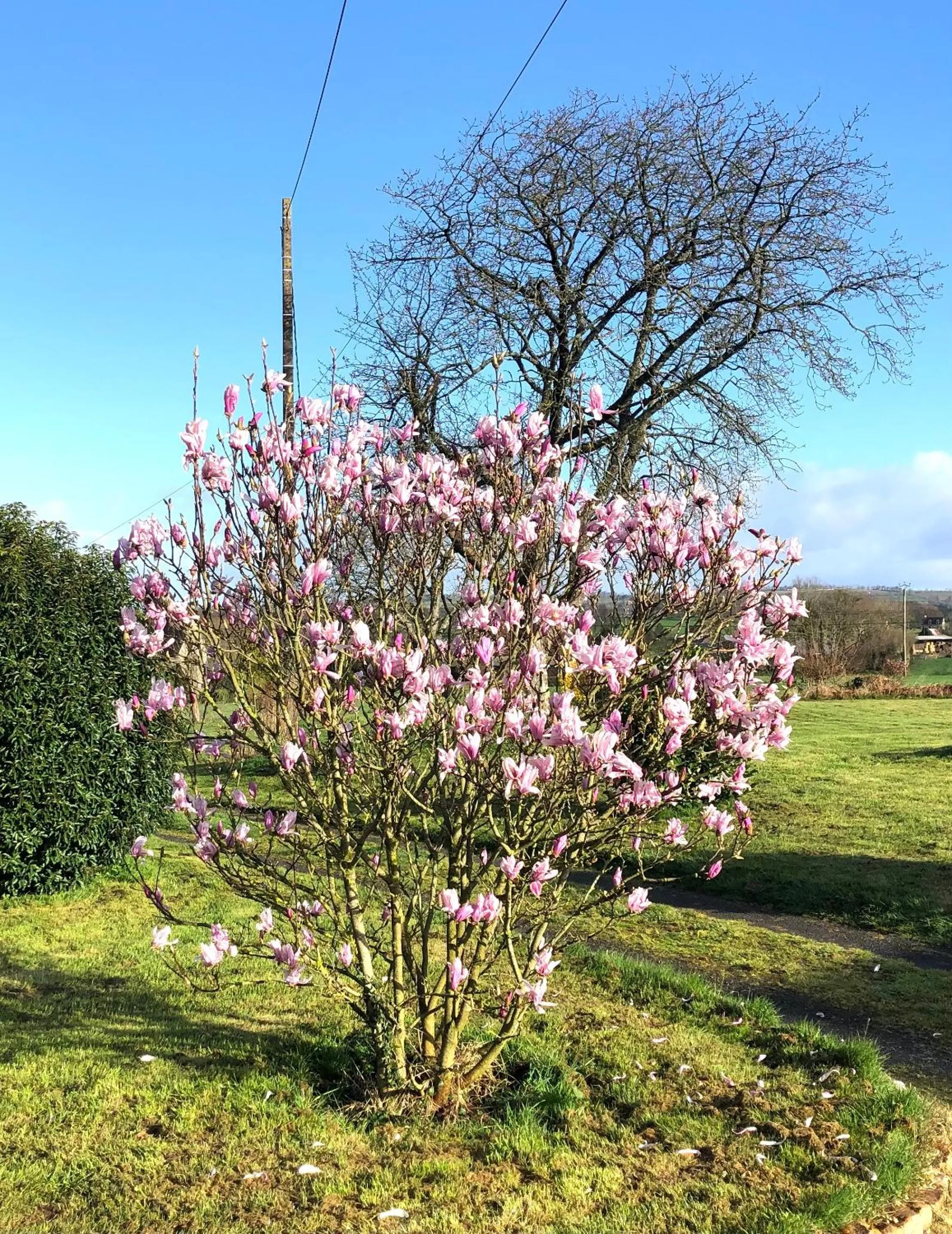 Spring in La Blanche Roche