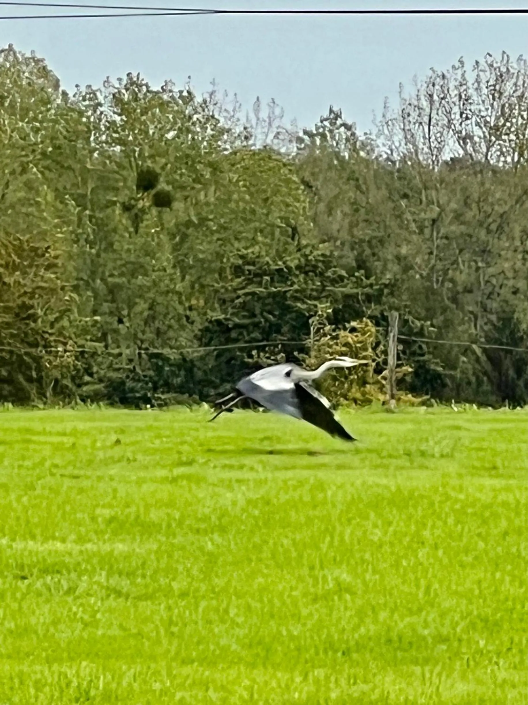 Natural landscape in La Blanche Roche