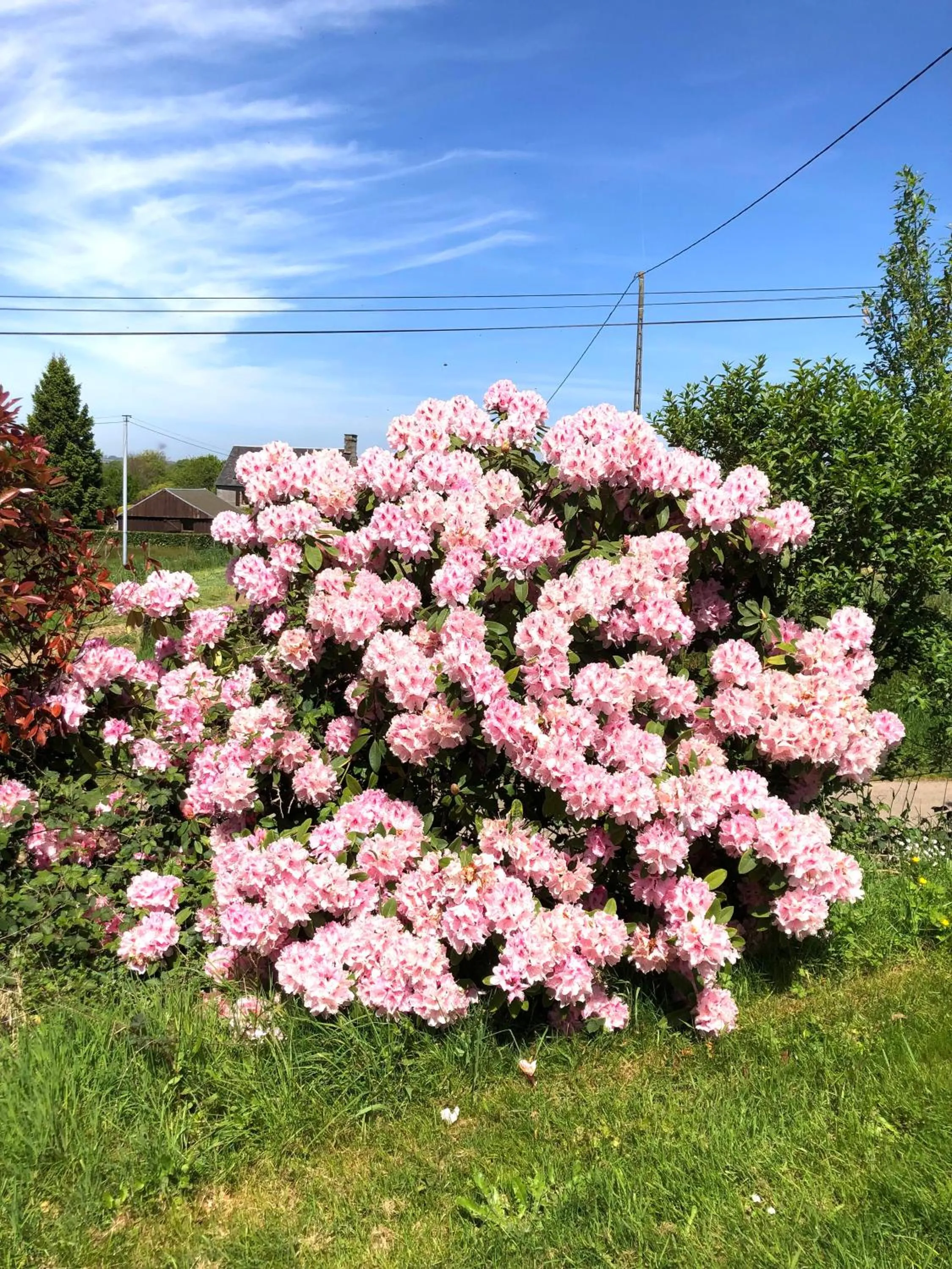 Garden in La Blanche Roche