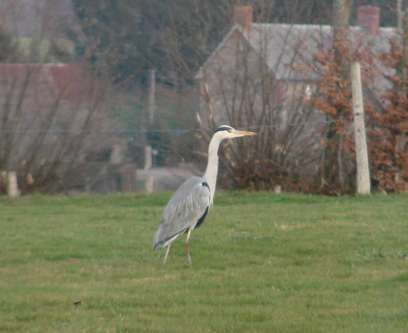 View (from property/room) in La Blanche Roche
