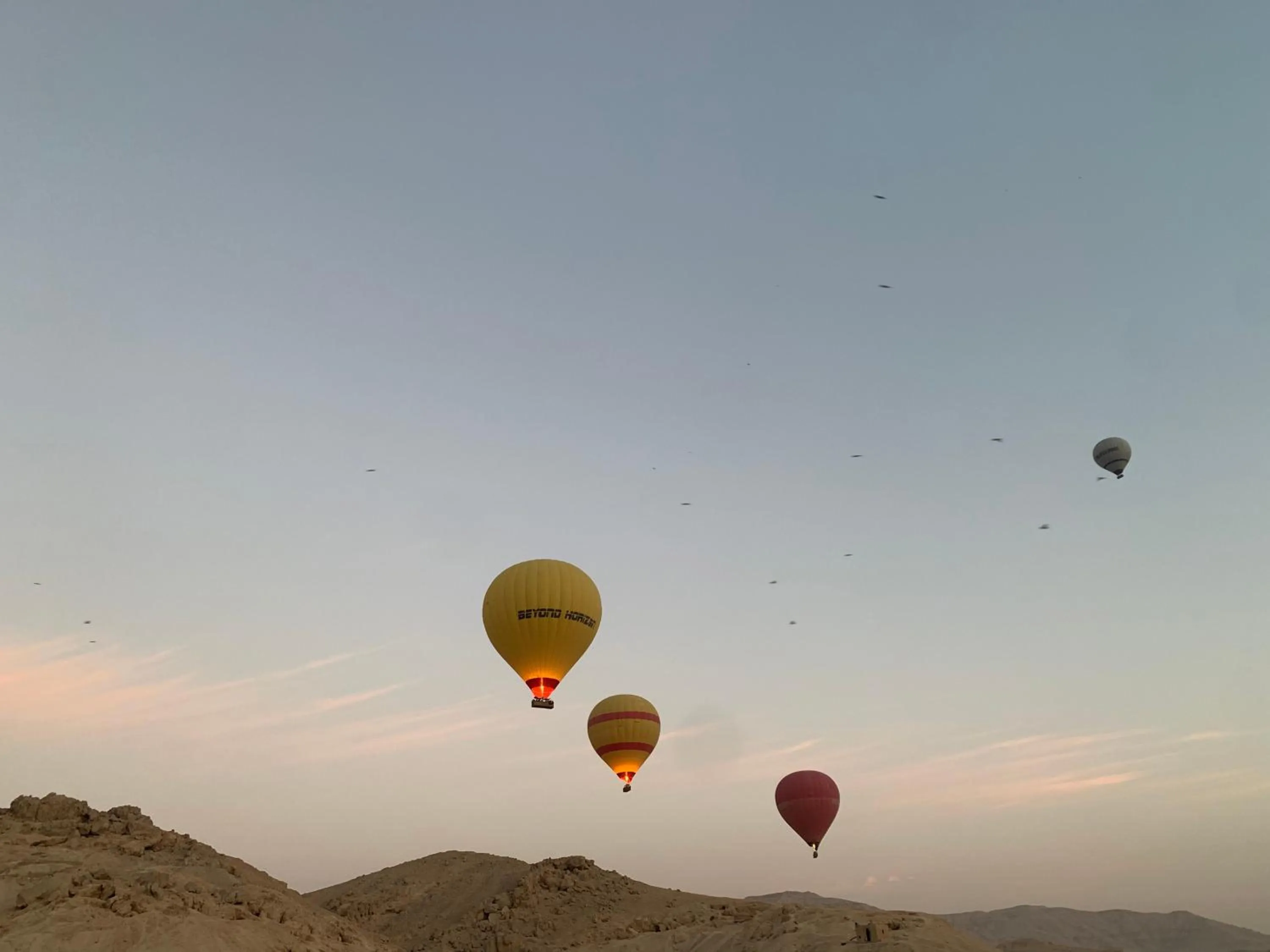 Restaurant/places to eat in Nile Panorama Hotel & Restaurant