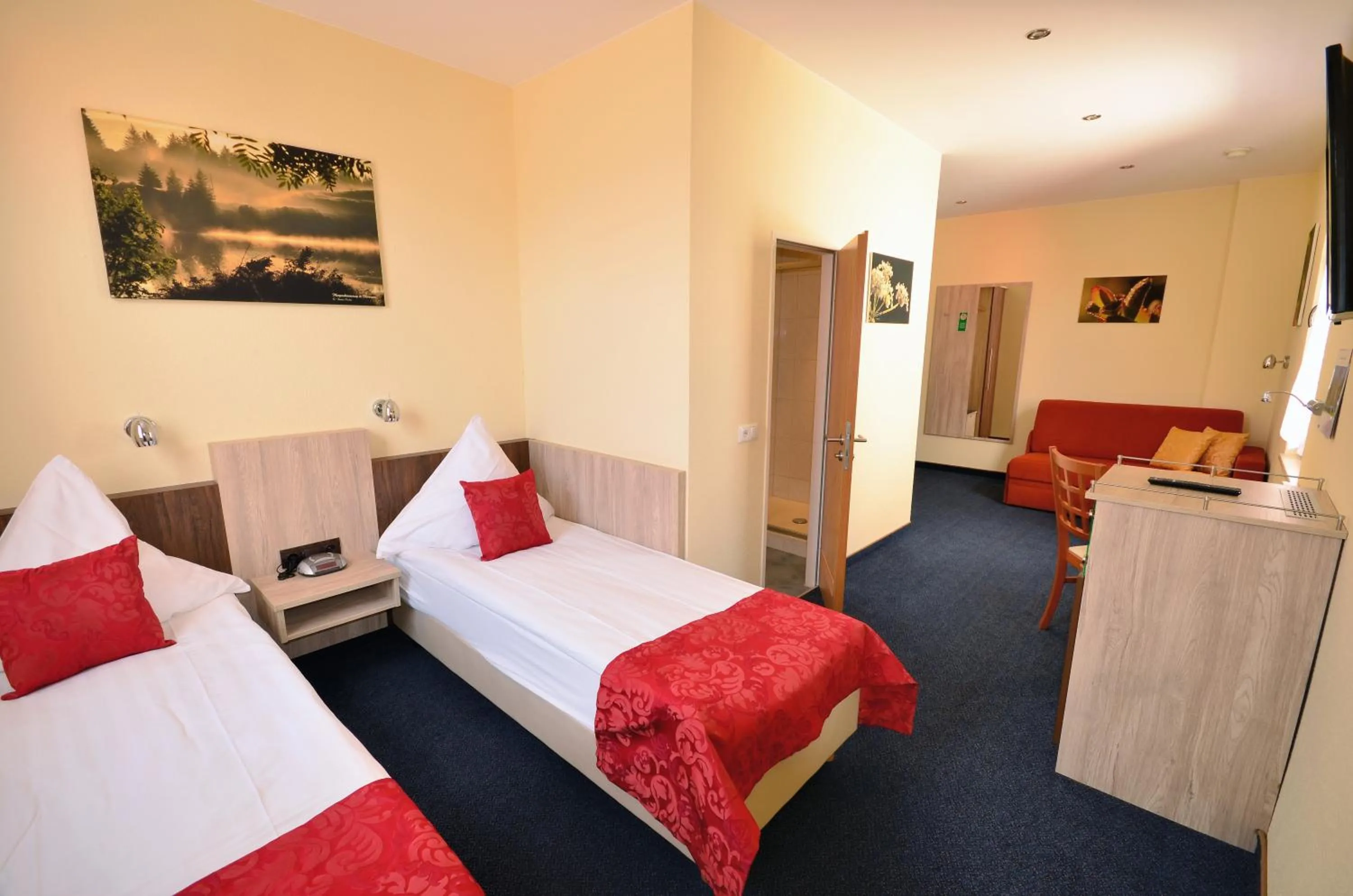 Standard Twin Room - single occupancy in Hotel-Restaurant Zur Mainlust