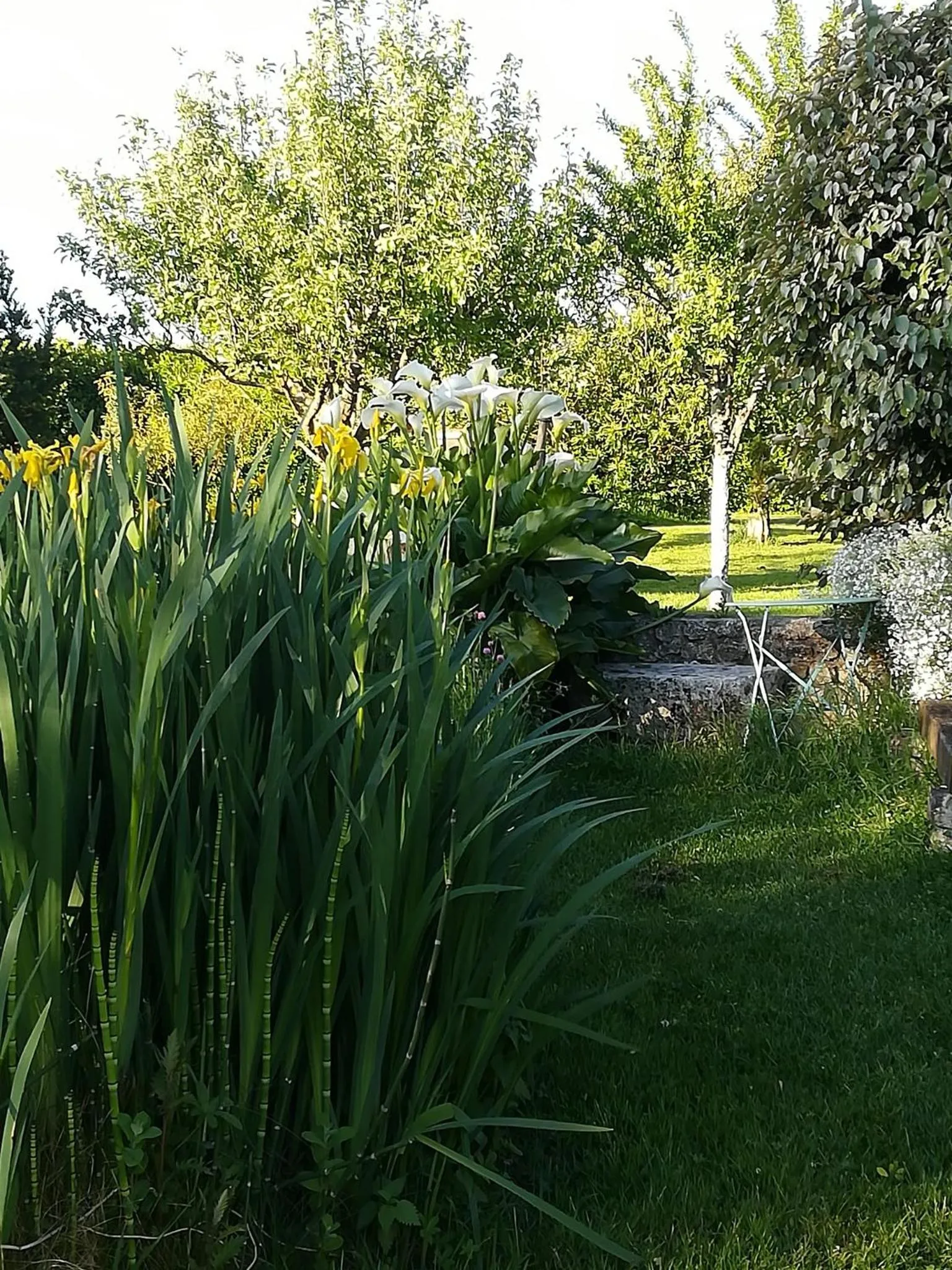 Garden view in La Clé du Puy