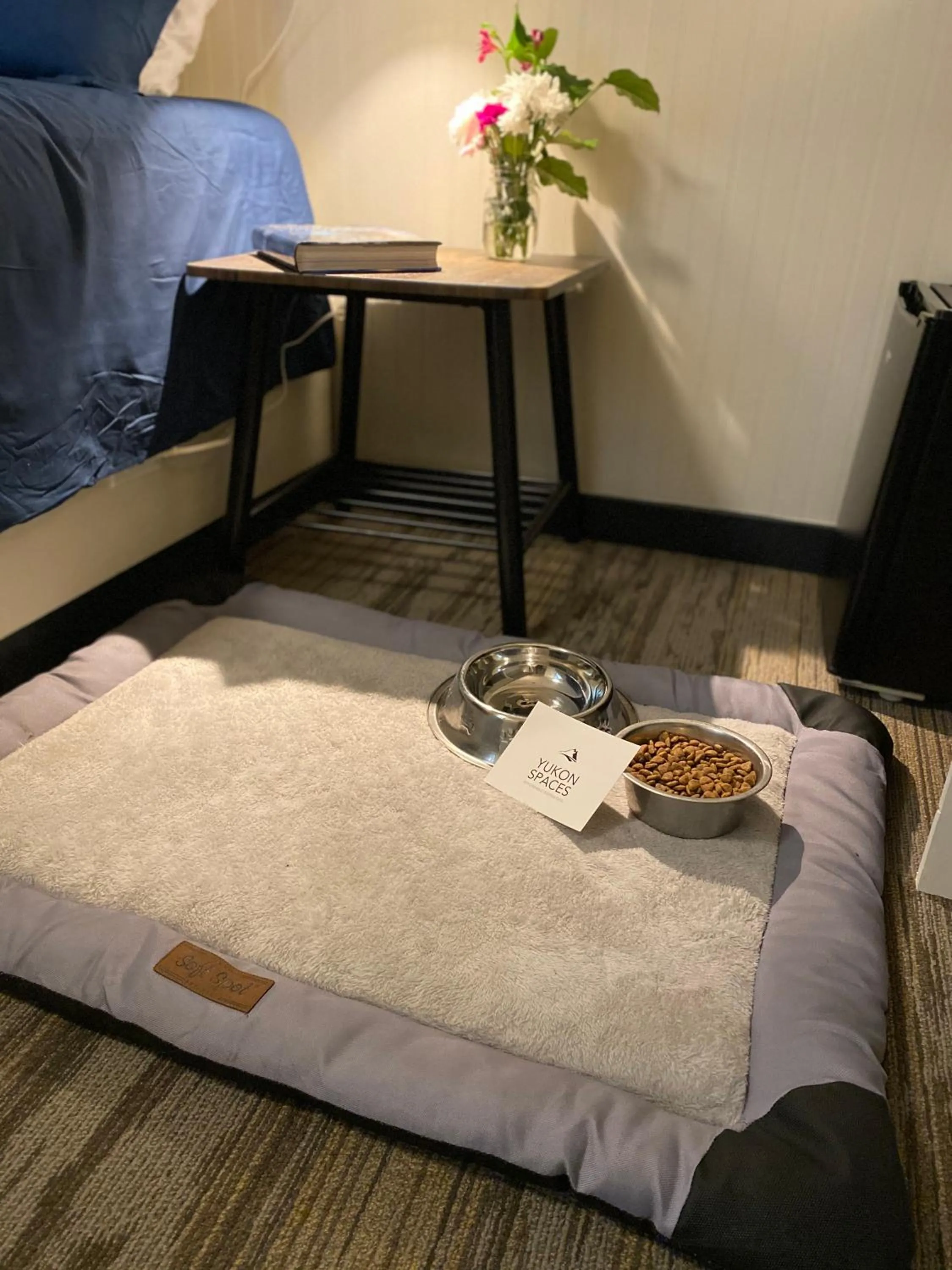 Pets, Bed in Dawson Lodge