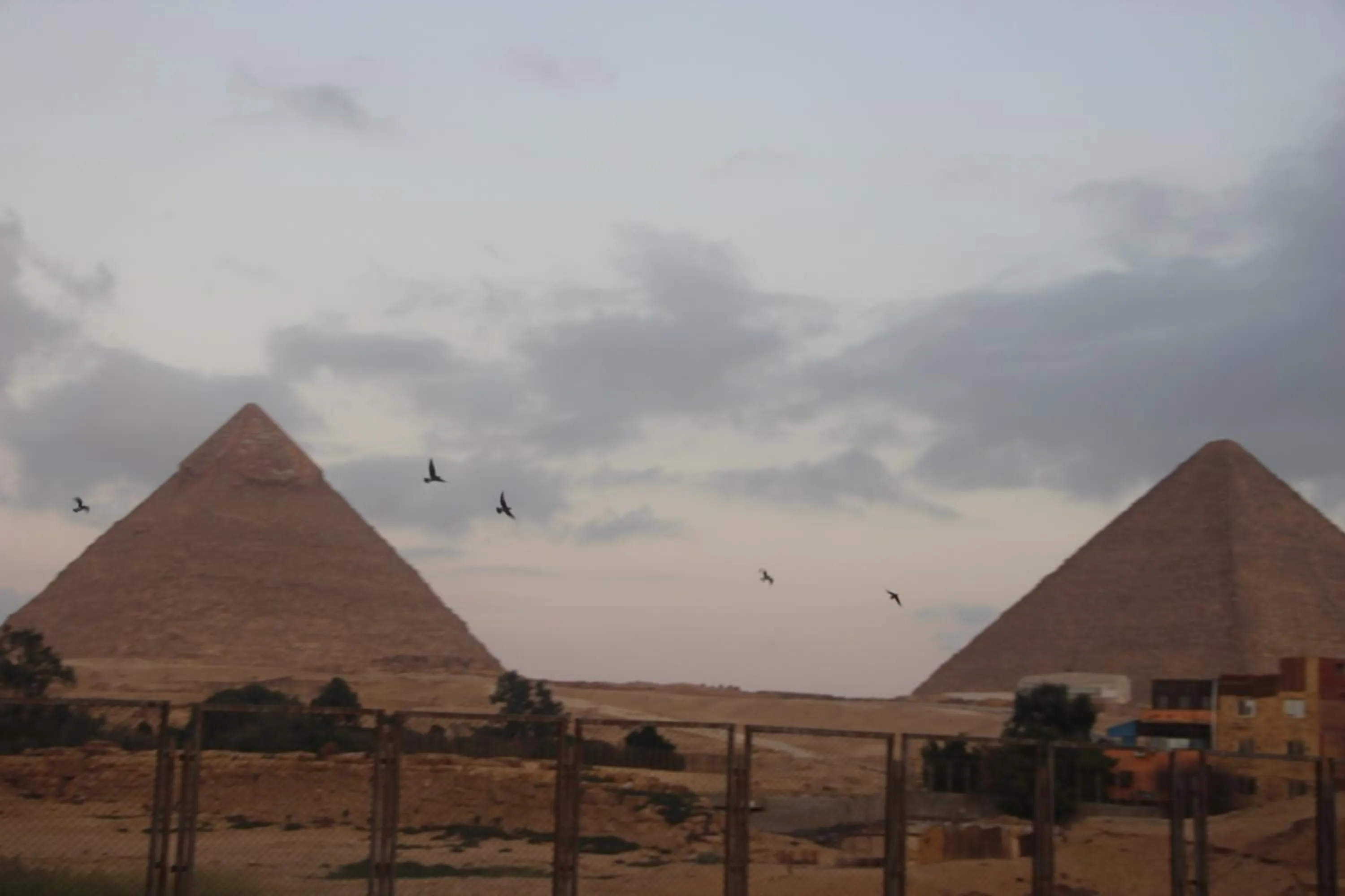 Farida Pyramids Boutique Hotel