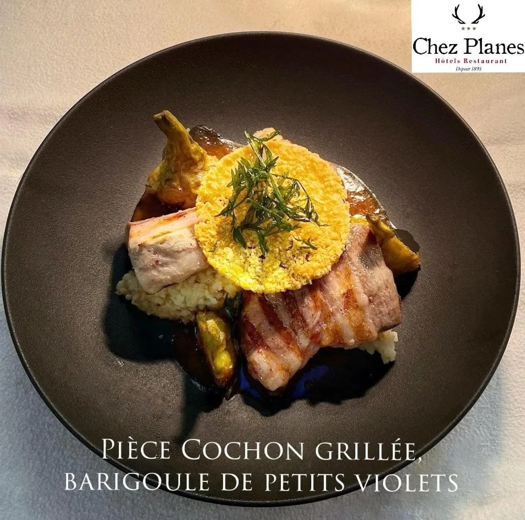 Restaurant/places to eat in Logis Hotel Restaurant Planes