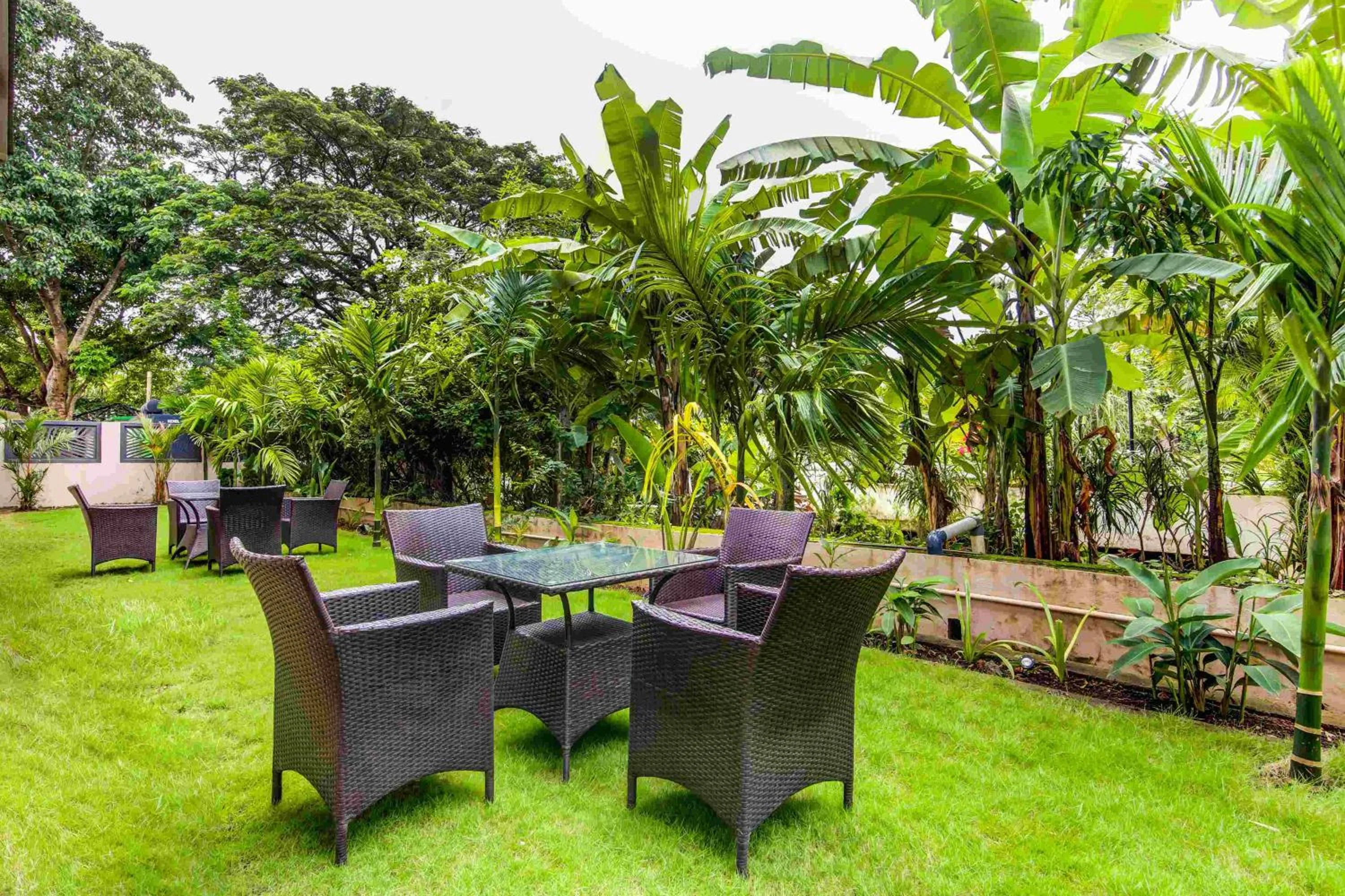 Garden in Hotel Regent Laguna