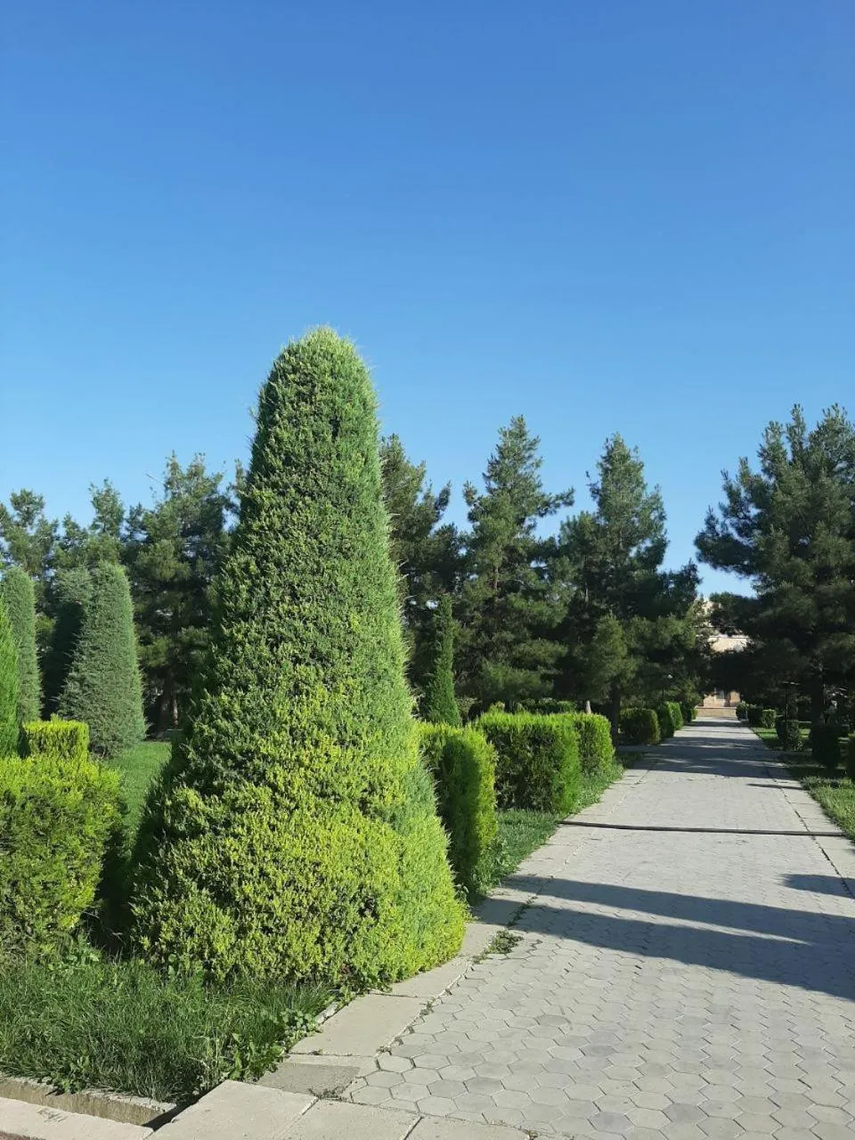 Natural landscape in Samarkand City Center Hotel