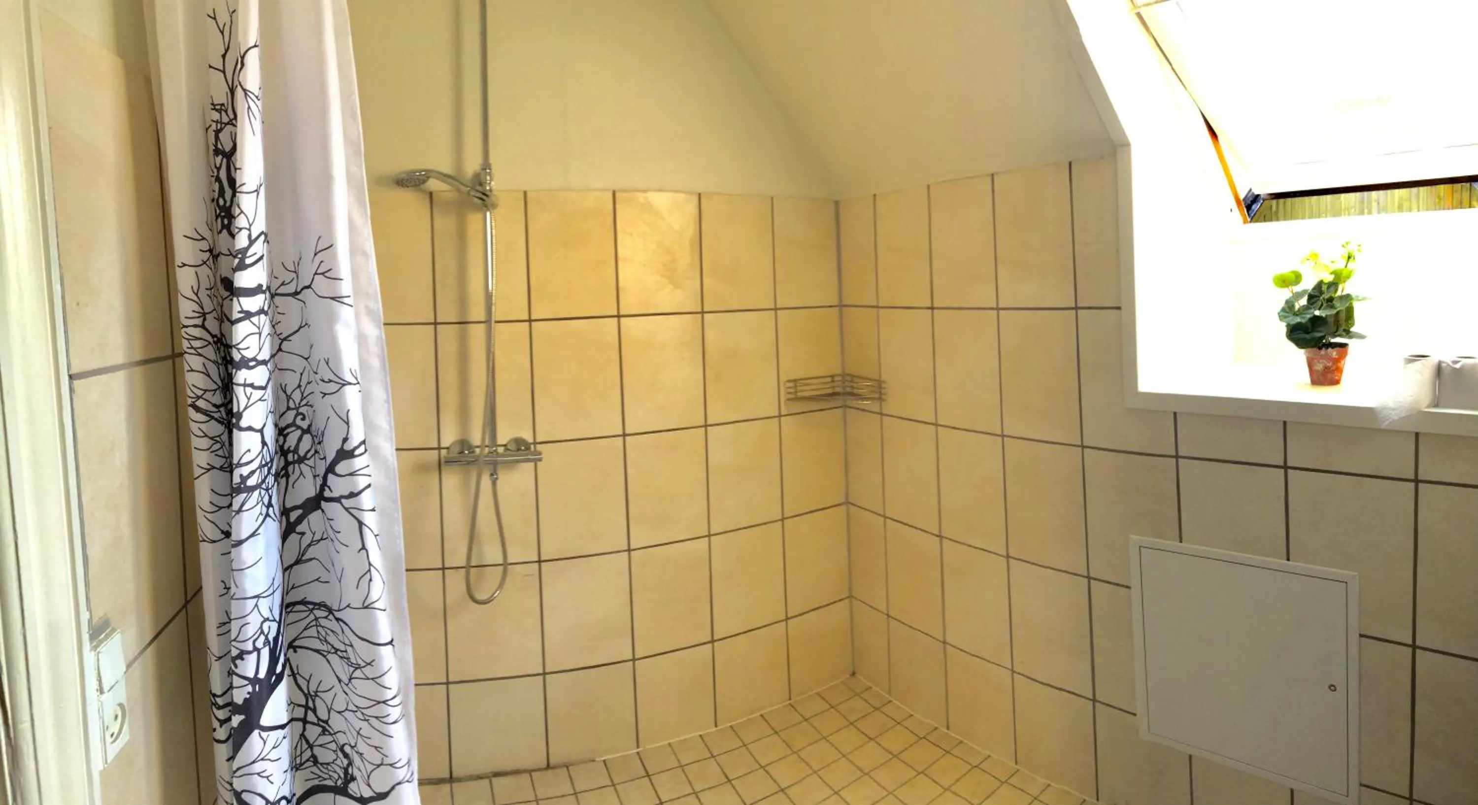 Shower in HotelPandekagehuset B&B