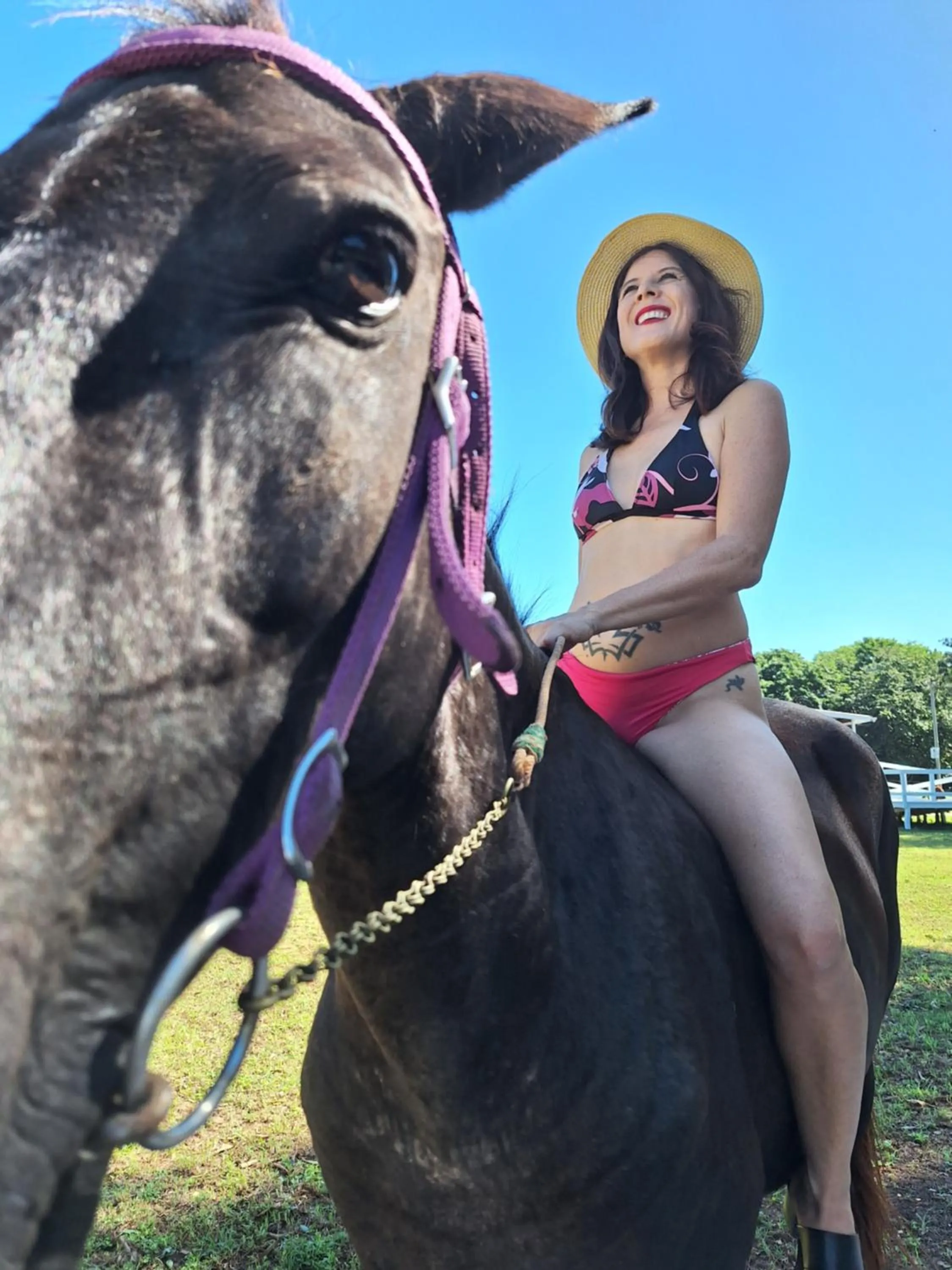 Garden in Horse Cottage