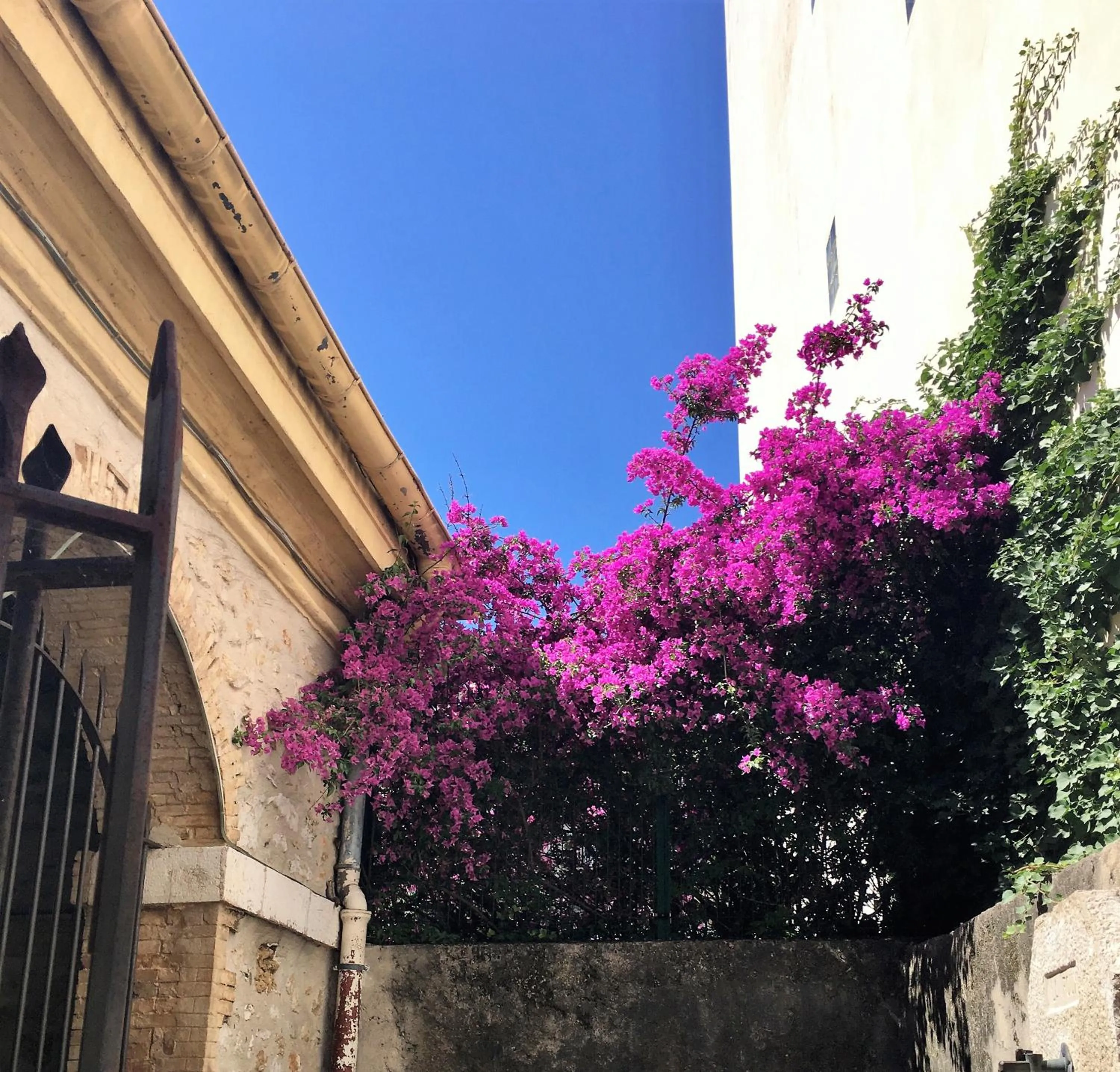 Facade/entrance in Logis Hotel Diana