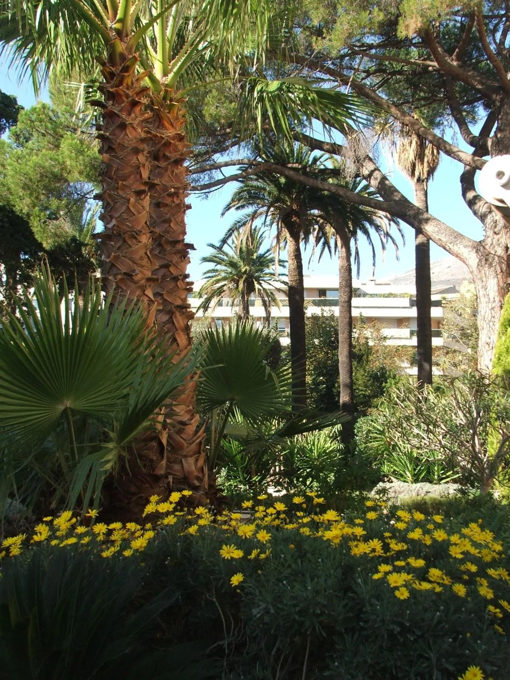Garden in Logis Hotel Diana