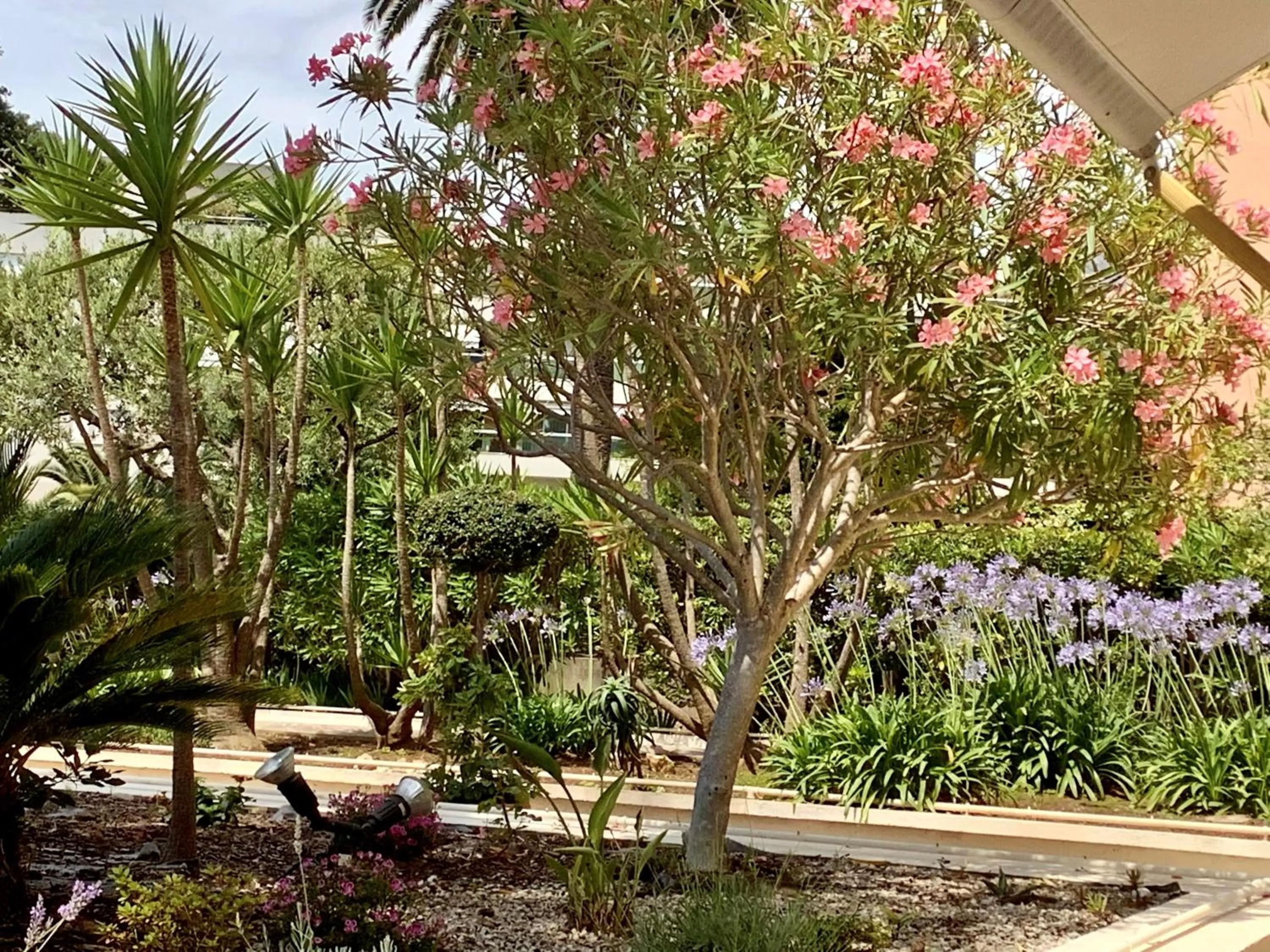 Patio in Logis Hotel Diana