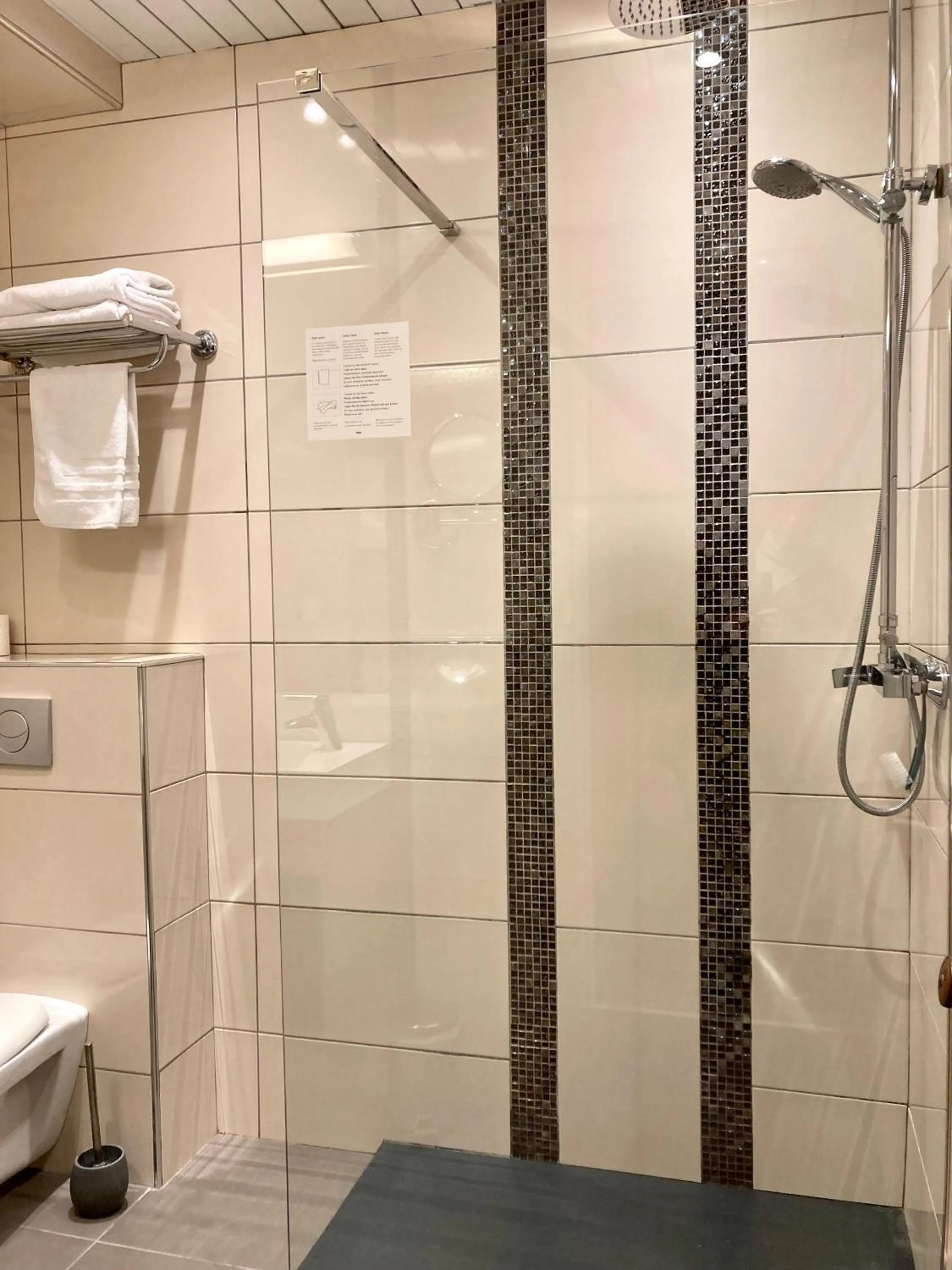 Shower in Logis Hotel Diana