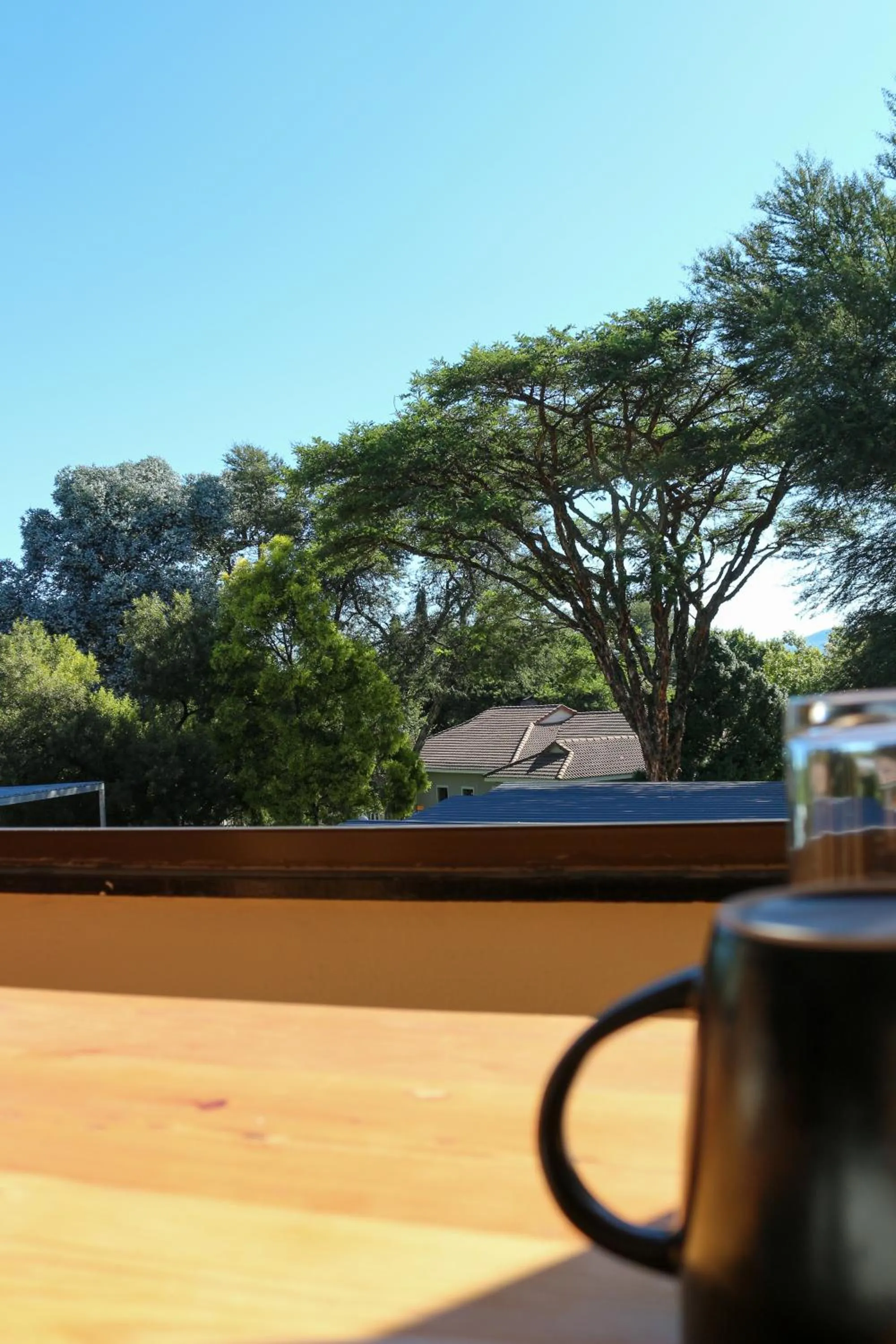 Luxury Heights Guesthouse- Pool under renovation