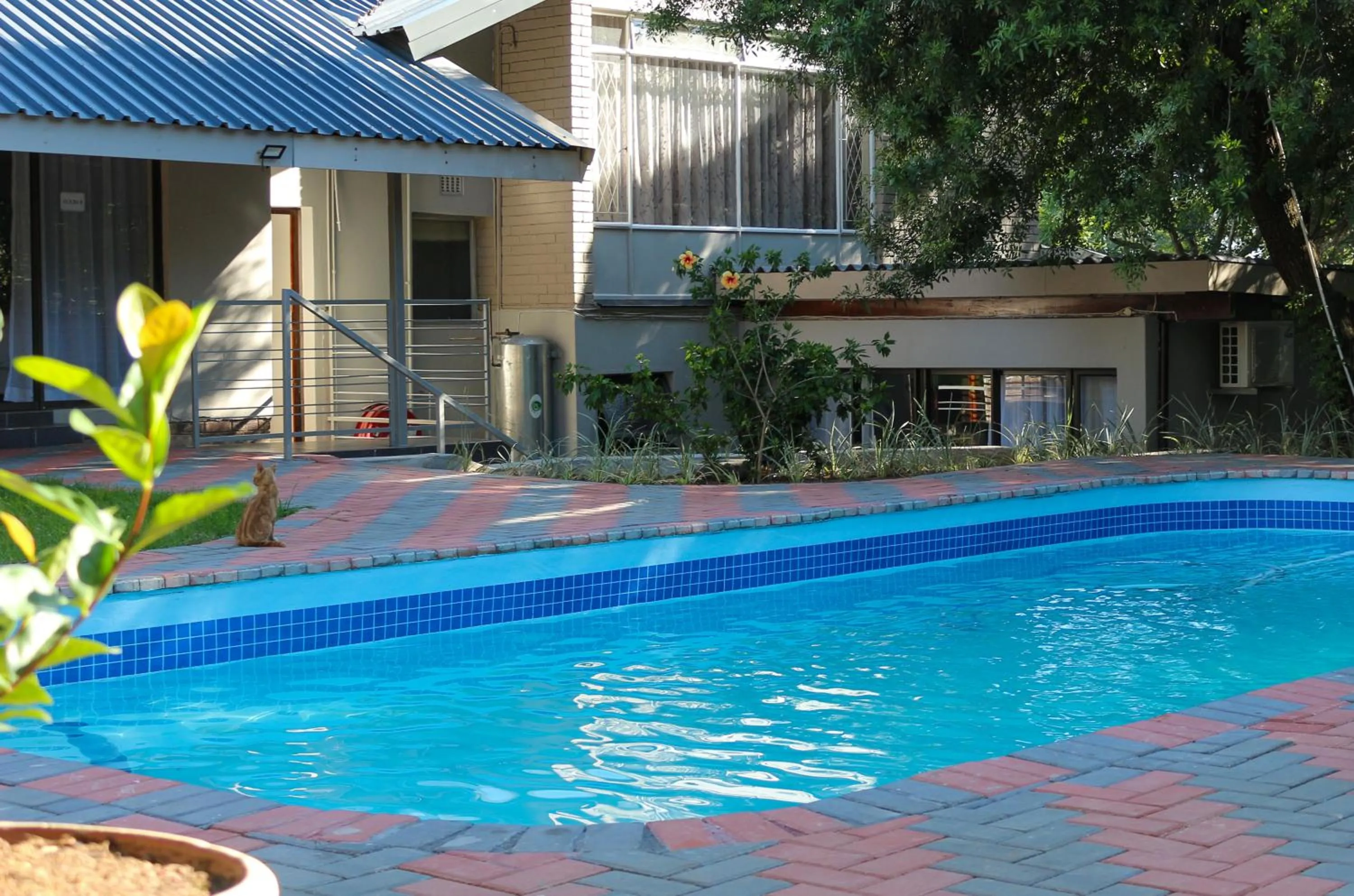 Luxury Heights Guesthouse- Pool under renovation