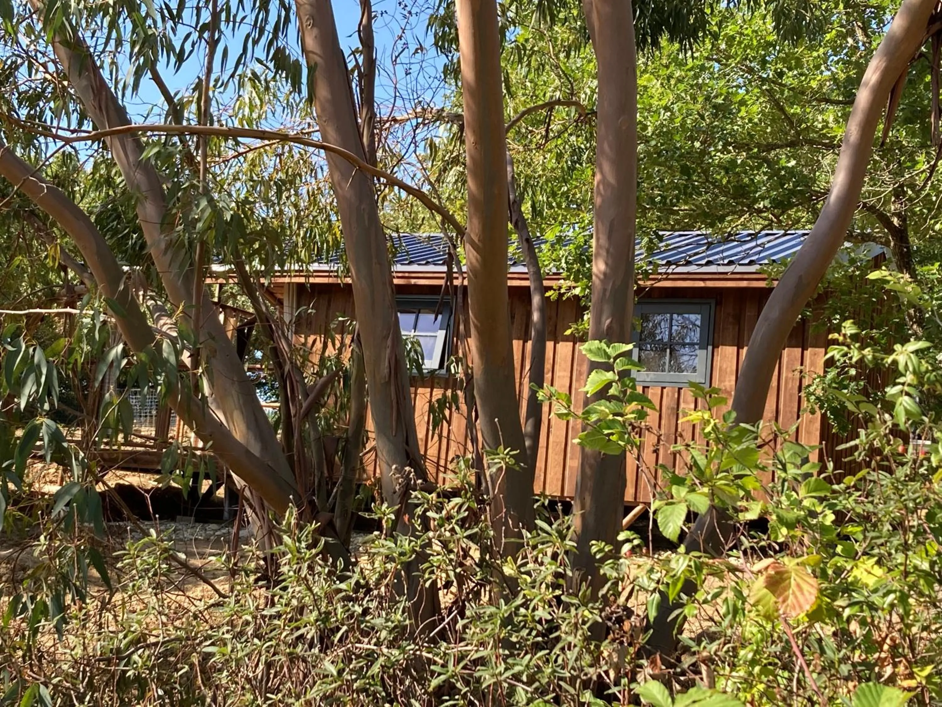 Property building in Cabanes Trésors de Campagne,spas privatifs