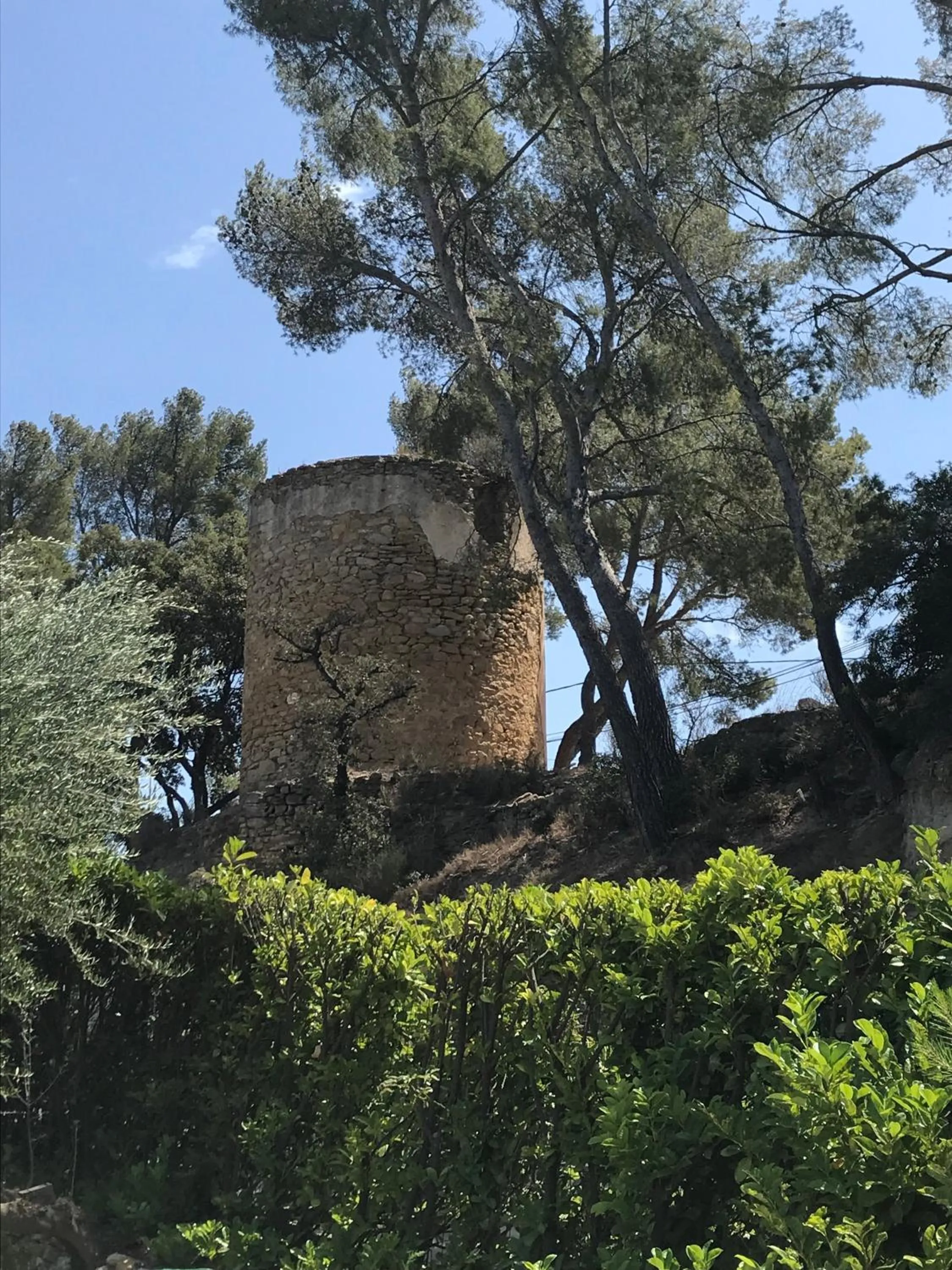 Natural landscape in GuestHouse Du Moulin (logement neuf)
