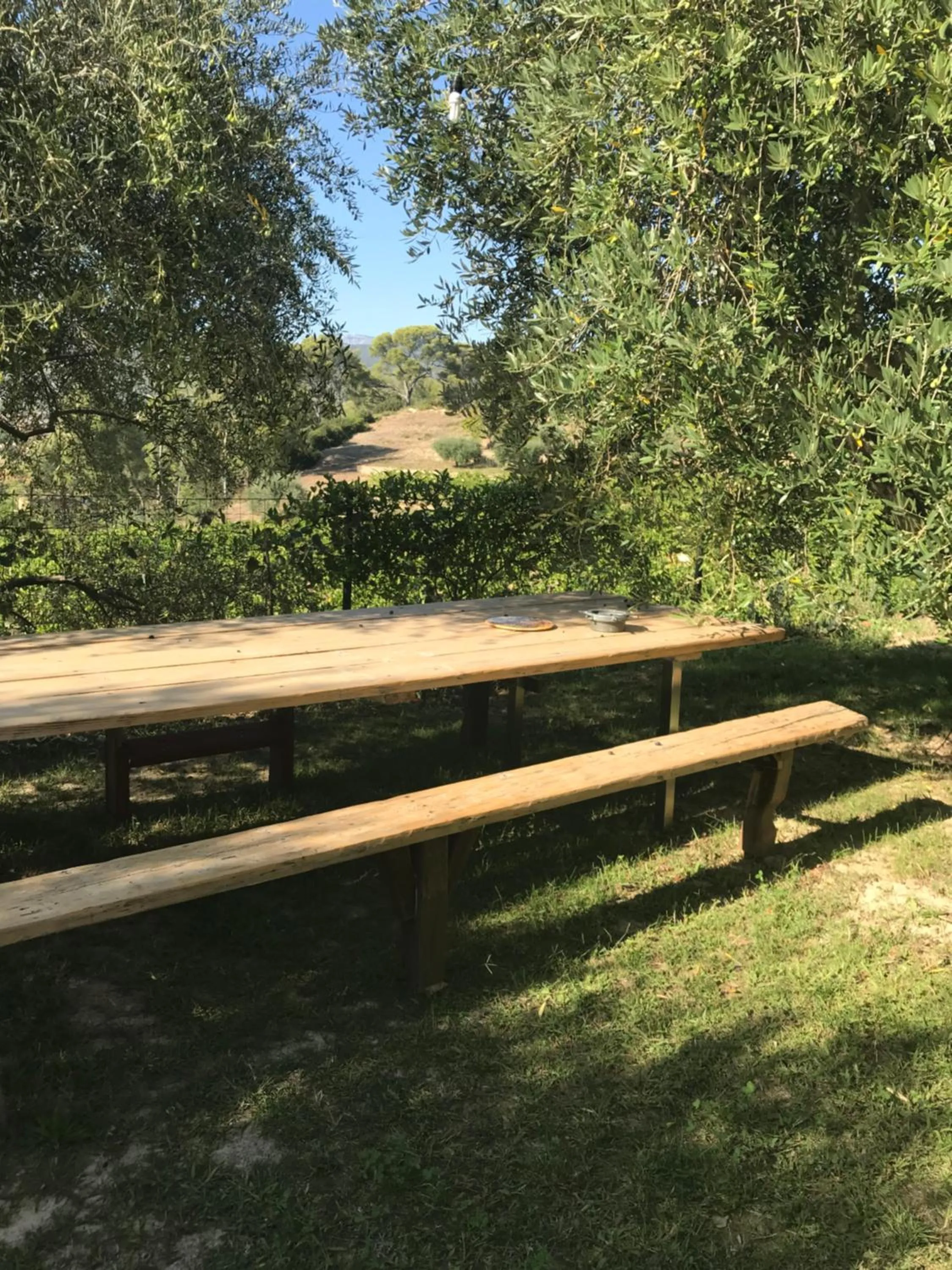 Natural landscape in GuestHouse Du Moulin (logement neuf)