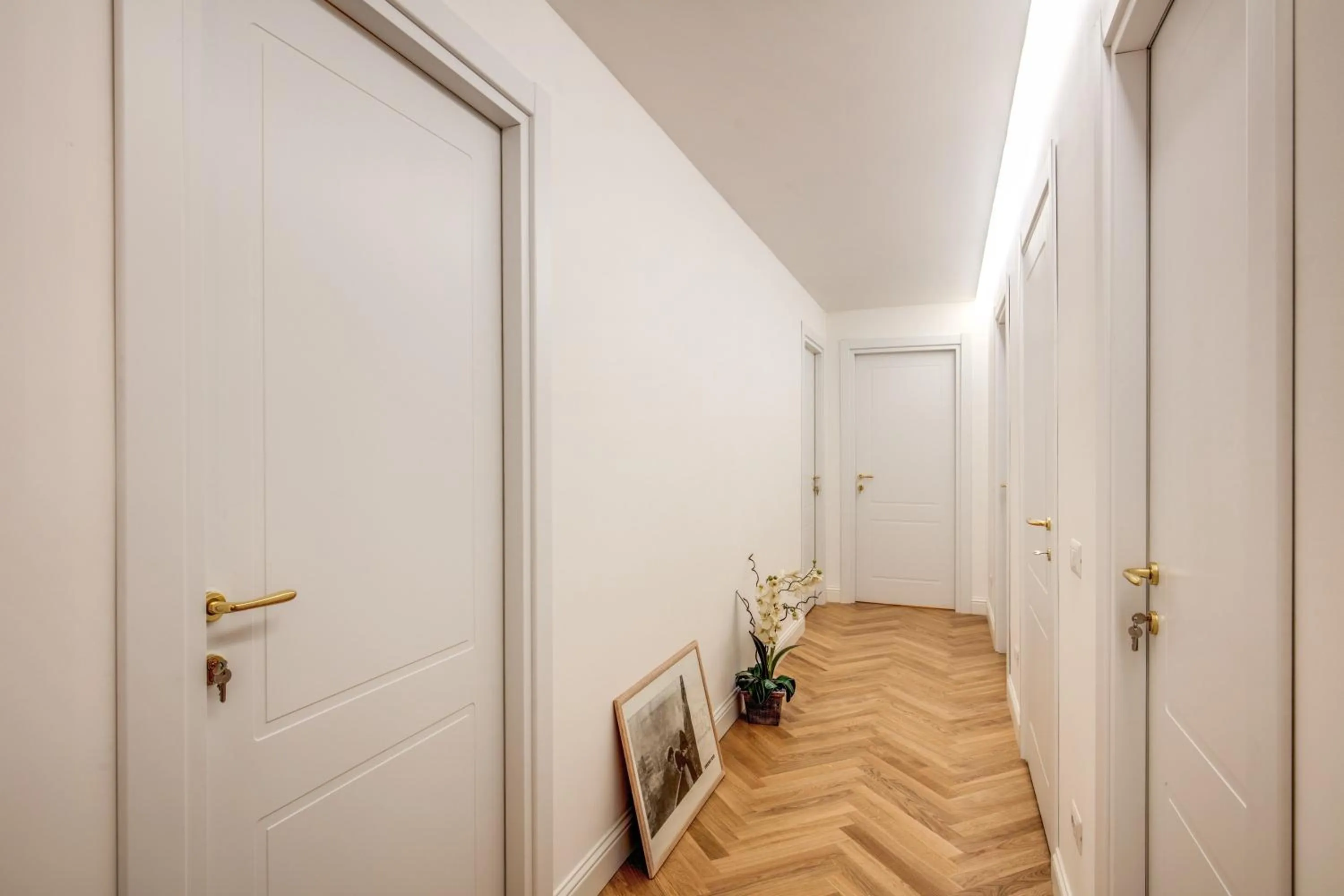 Area and facilities in Trastevere 2.0