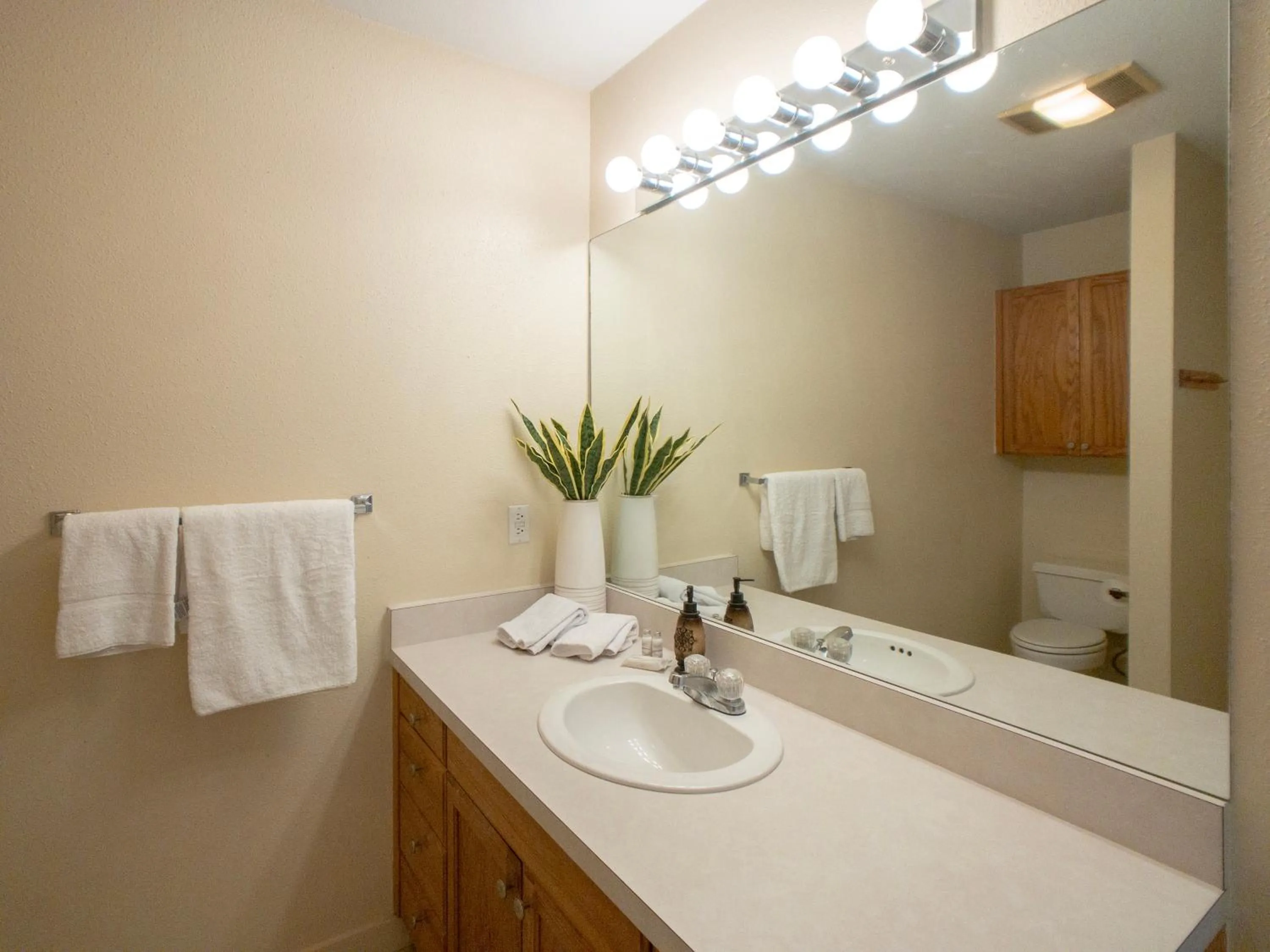 Bathroom in Schmitz Bed & Breakfast