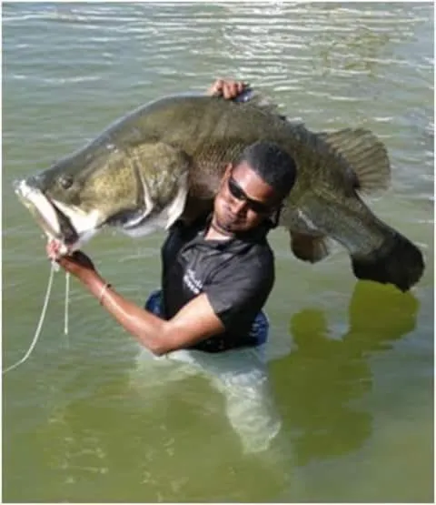 Hllol Hotel Abu Simbel