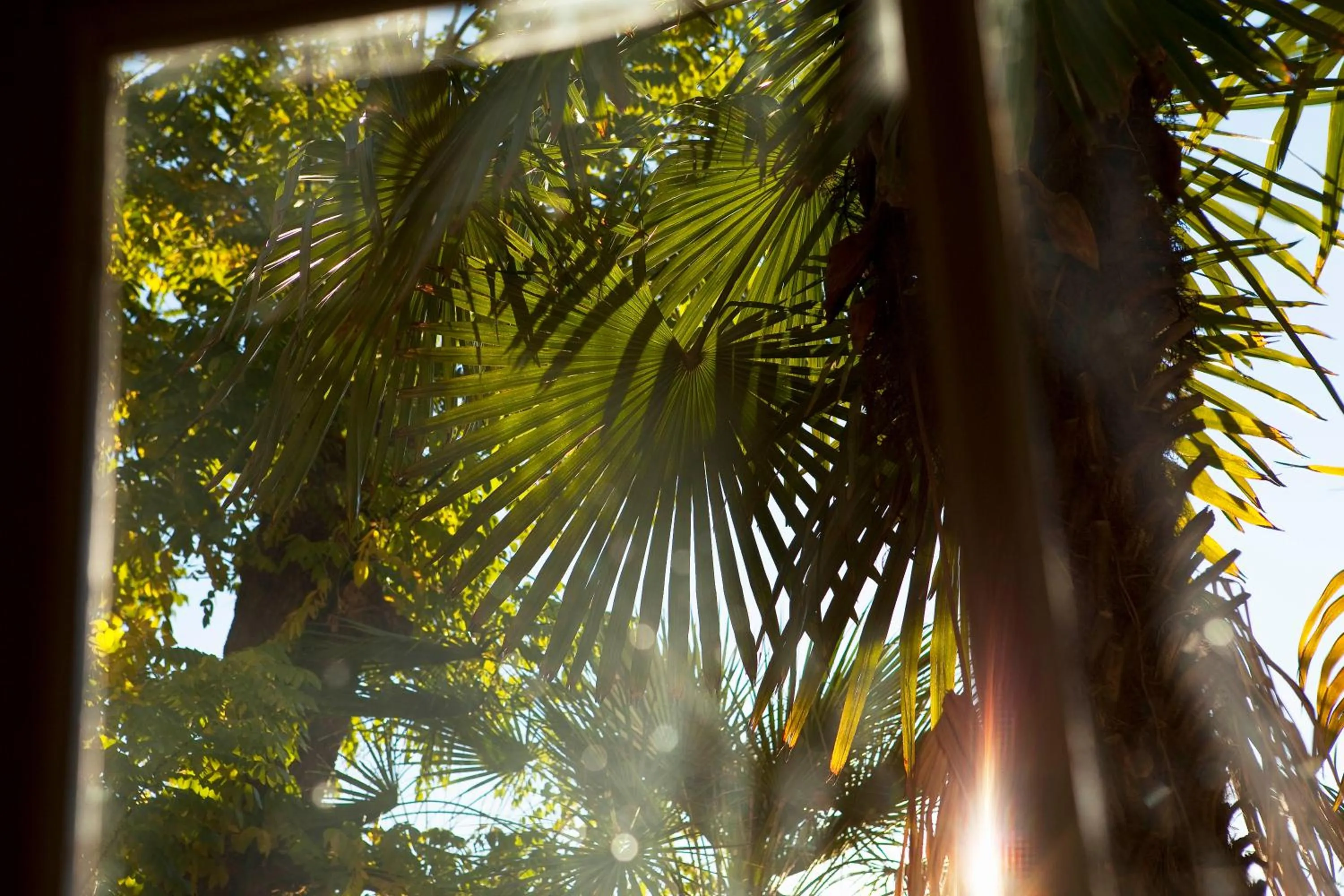 Other in Hôtel Oceania Le Métropole