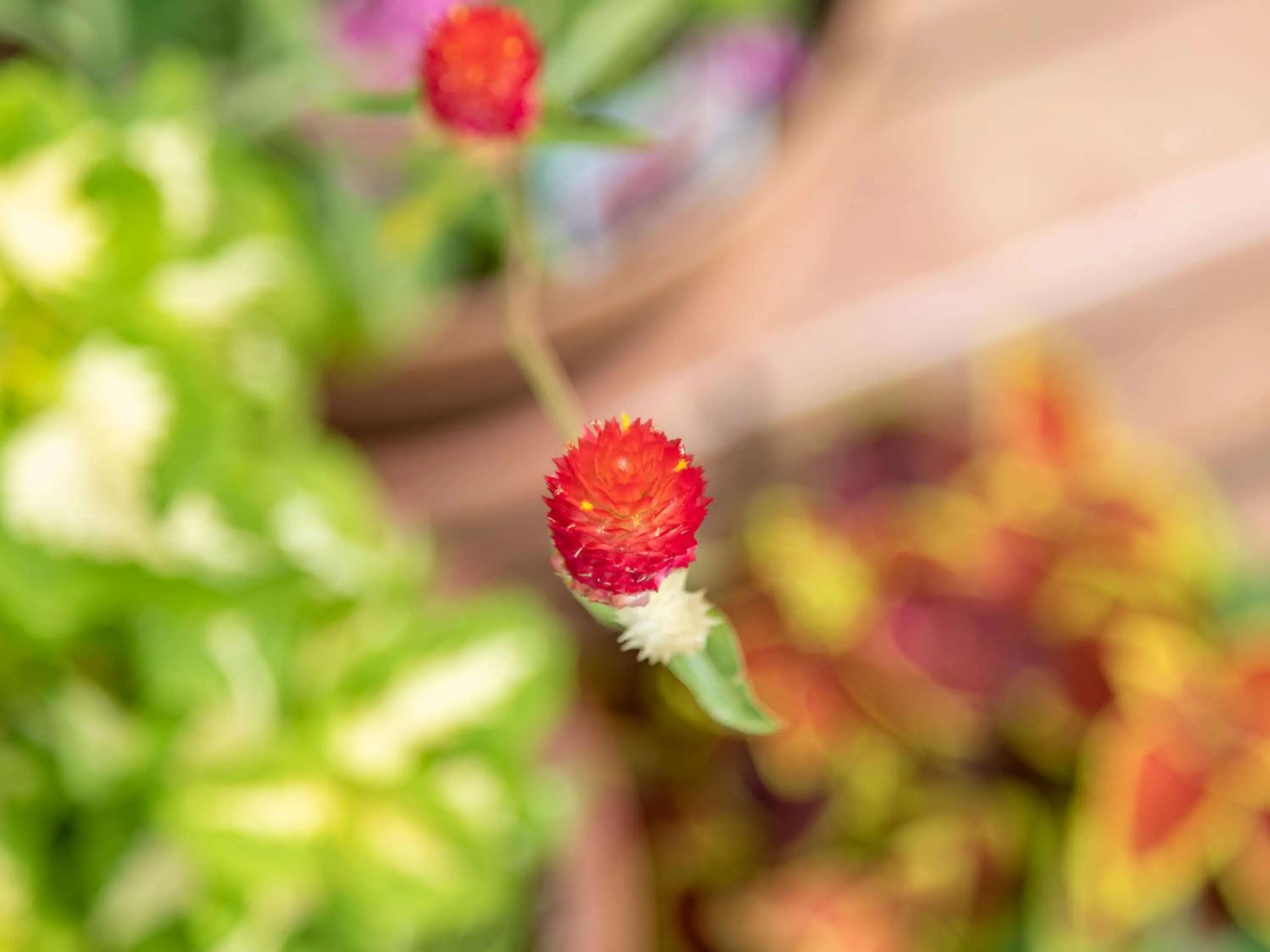 Tabist Asa Station Hotel