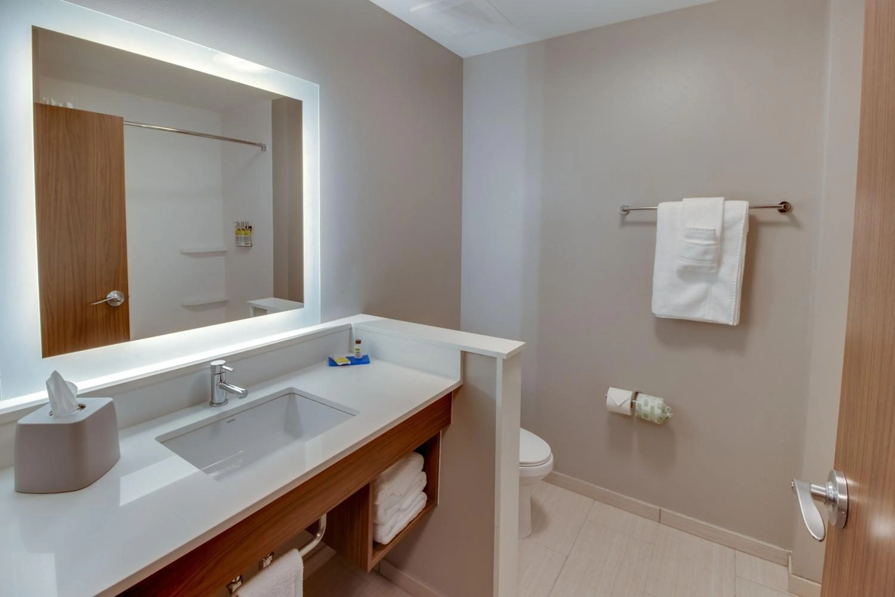 Bathroom in Holiday Inn Express & Suites - Union City by IHG