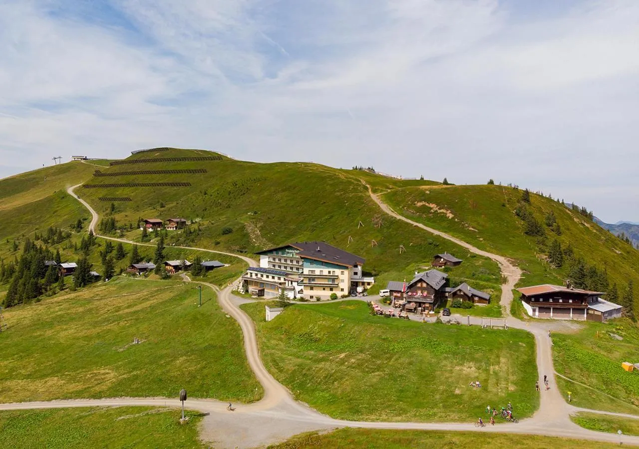 Bird's eye view in Mountainlovers Berghotel SeidlAlm